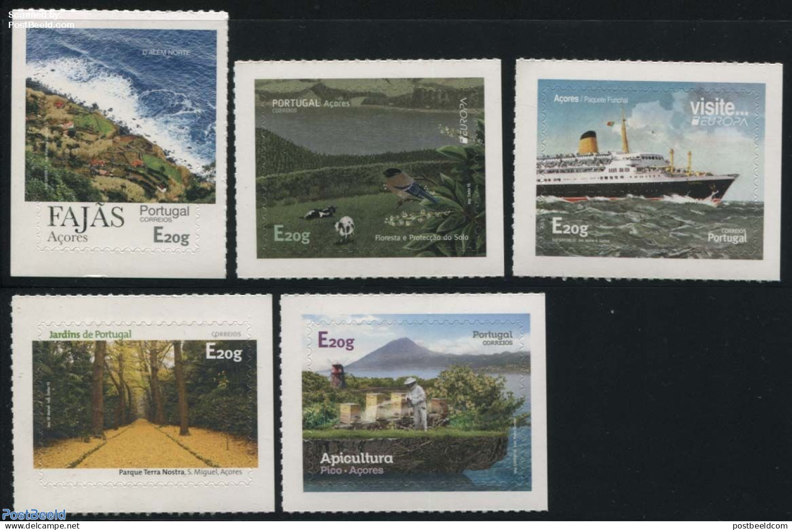 Azores 2015 Reprints With Year 2015 5v S-a, Mint NH, History - Nature - Transport - Various - Europa (cept) - Bees - B.. - Natura