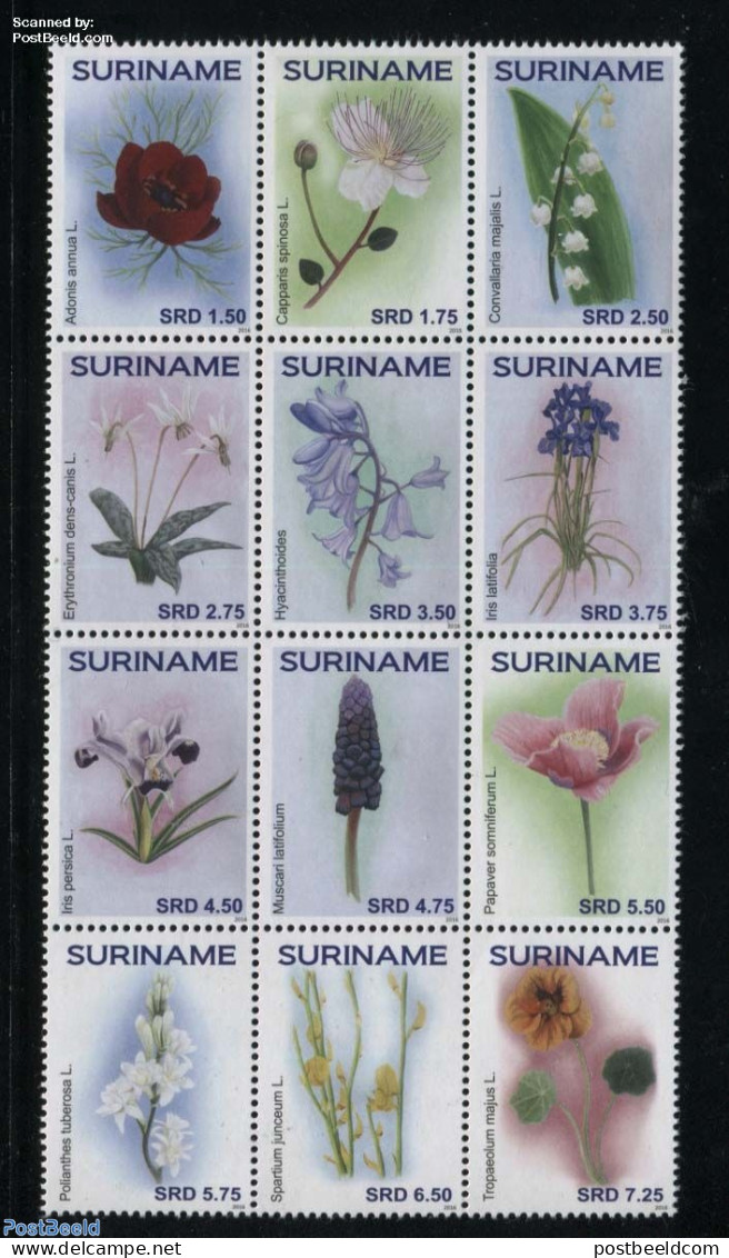 Suriname, Republic 2016 Flowers 12v Sheetlet, Mint NH, Nature - Flowers & Plants - Surinam