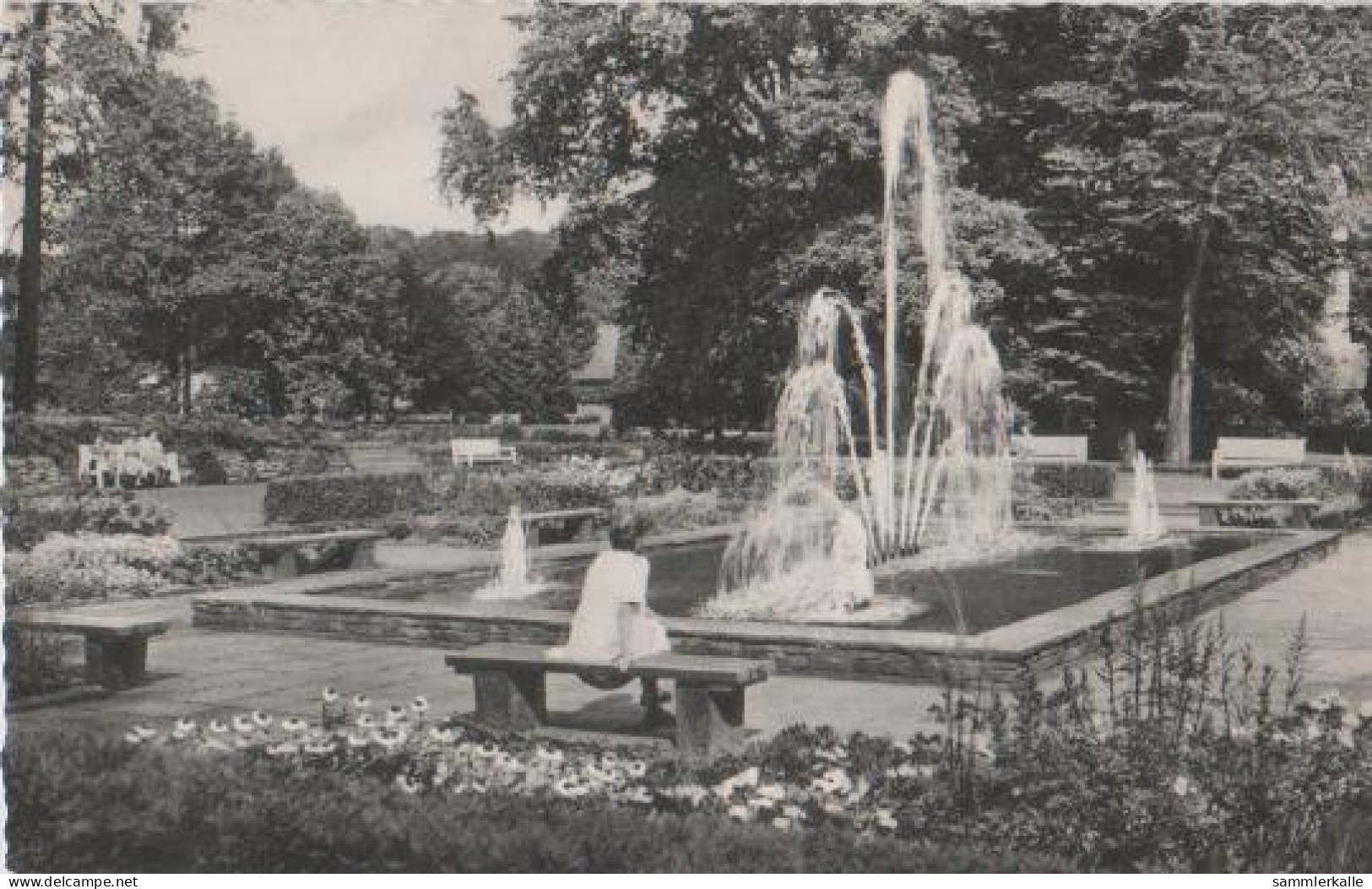 9936 - Bad Driburg - Partie Im Kurpark - Ca. 1955 - Bad Driburg