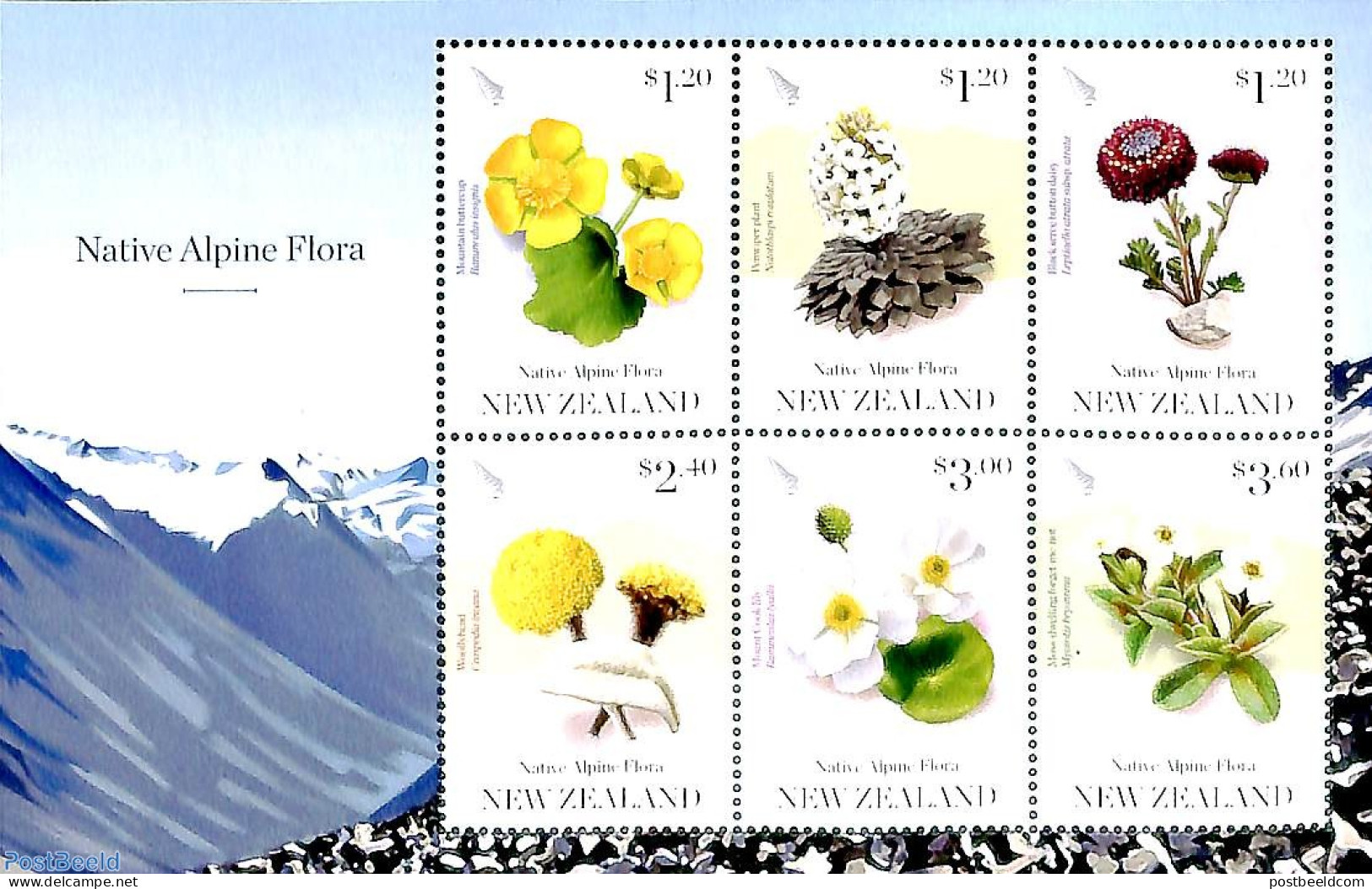 New Zealand 2019 Mountain Flora 6v M/s, Mint NH, Nature - Flowers & Plants - Ongebruikt