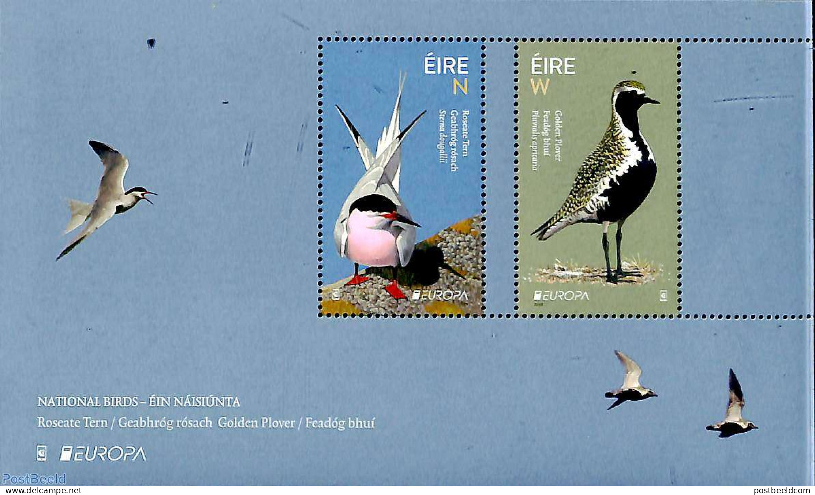 Ireland 2019 Europa, Birds Of Prey S/s, Mint NH, History - Nature - Europa (cept) - Birds - Neufs