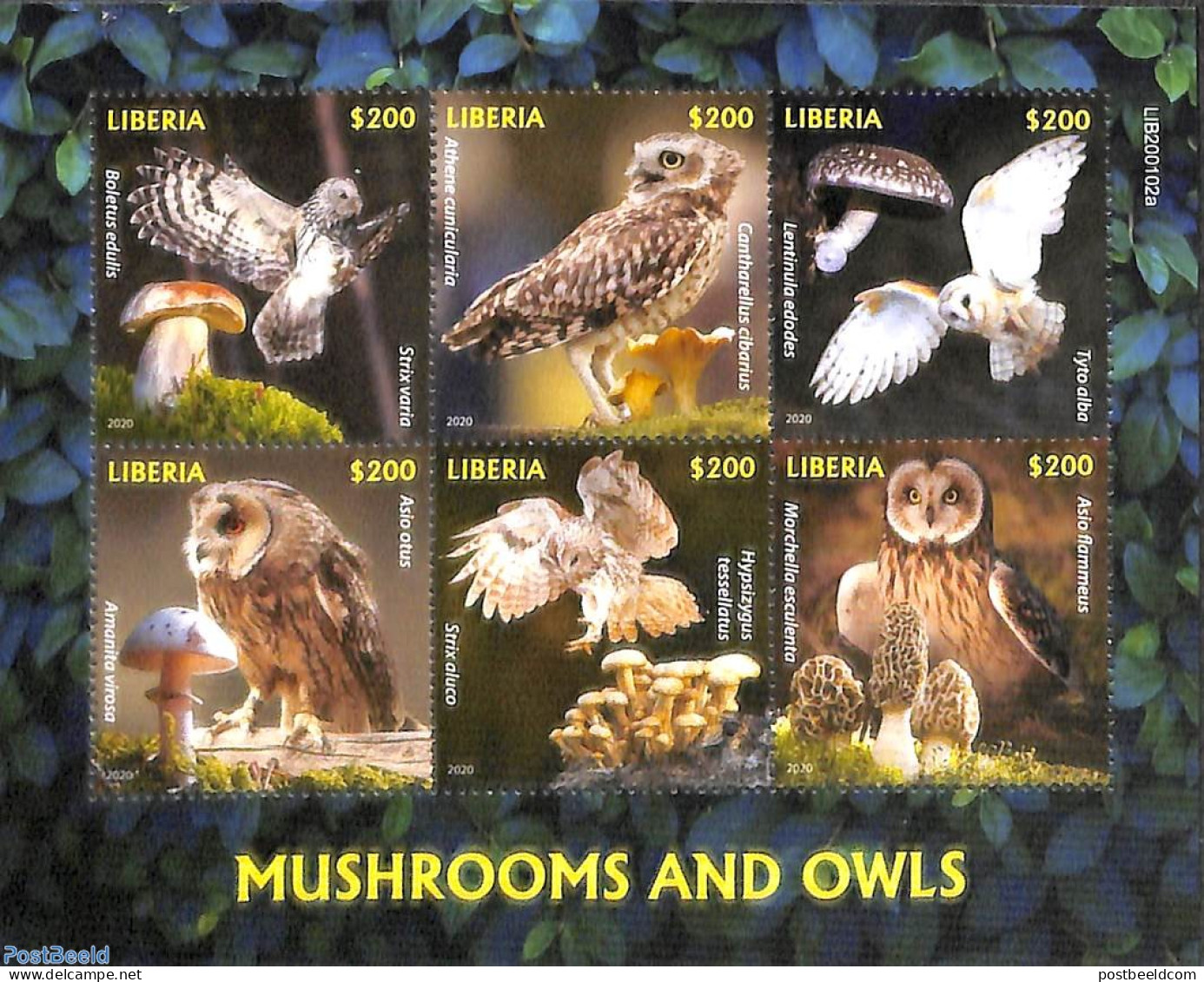 Liberia 2020 Mushrooms And Owls 6v M/s, Mint NH, Nature - Birds - Birds Of Prey - Mushrooms - Owls - Champignons