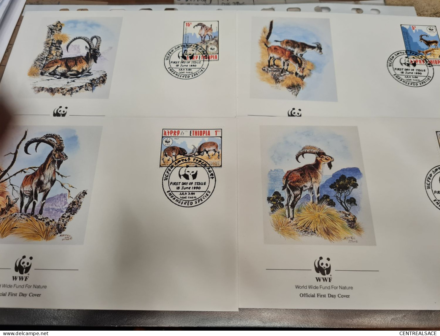 LETTRE FDC WORLD WIDE FUND 1990 ETHIOPE MOUFLONS ENDANDFRED - Ethiopie