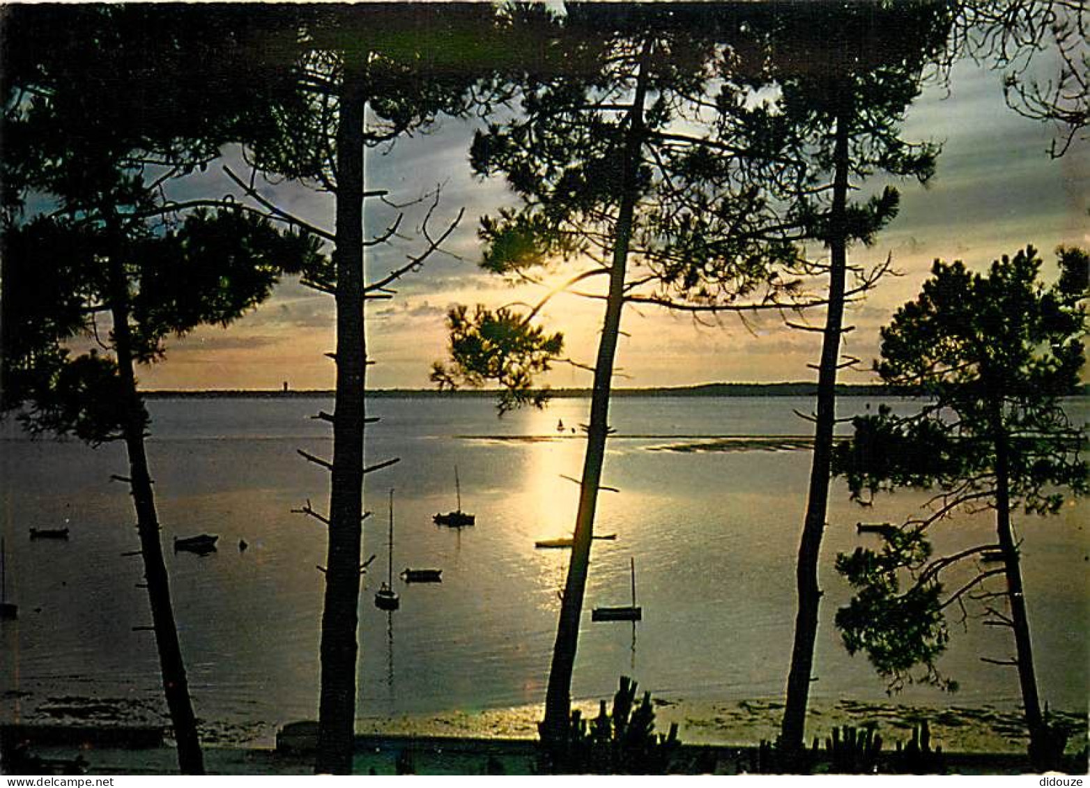 Coucher De Soleil - CPM - Voir Scans Recto-Verso - Contre La Lumière