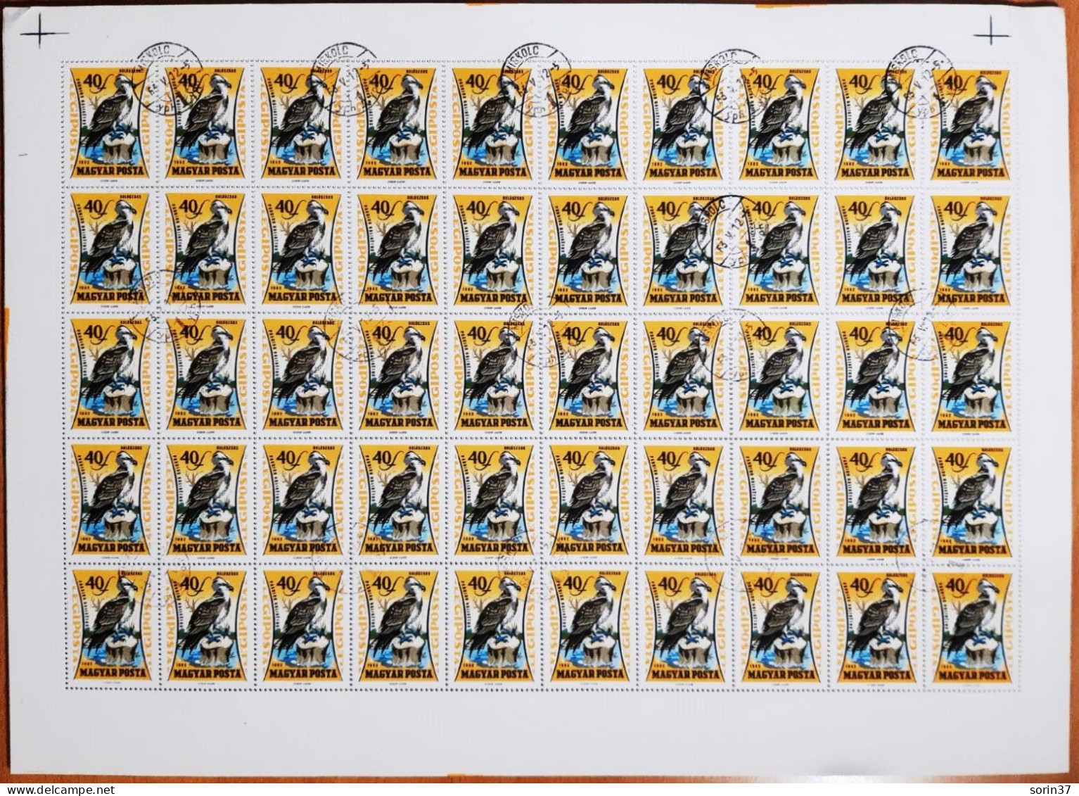 Hungria Pliego 50 Sellos Año 1962 Usado  Búho - Aves Nocturnas - Used Stamps