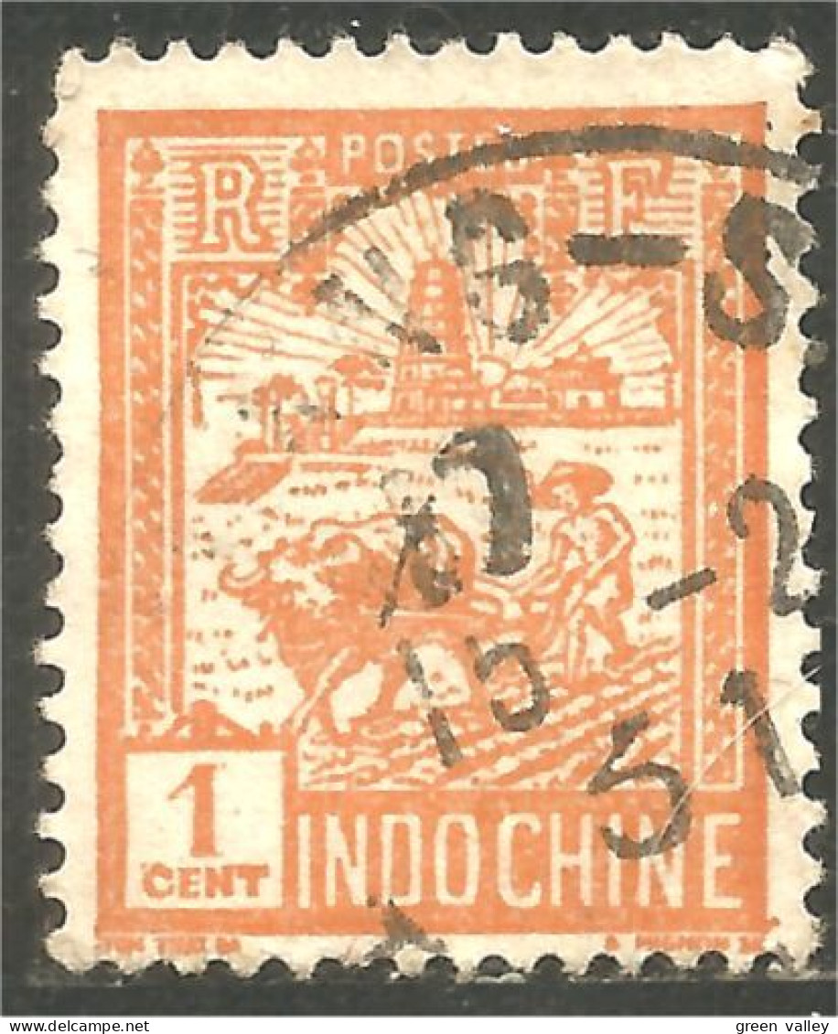 379 Indochine Laboureur Plower Agriculture Buffle Buffalo Tour Confucius Tower (f3-CHI-131) - Agricultura