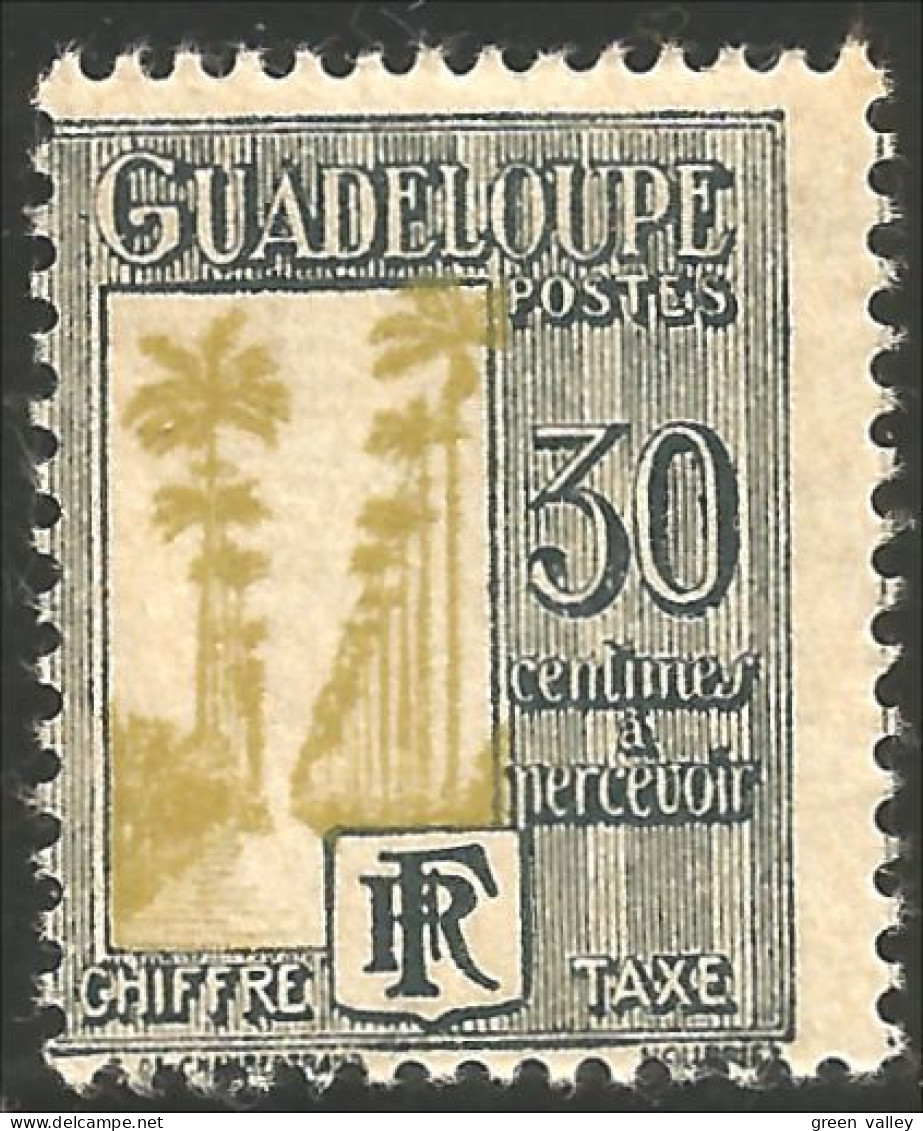 377 Guadeloupe Arbres Cocotiers Coconut Trees Coco Koko MNH ** Neuf (f3-GUA-62) - Arbres