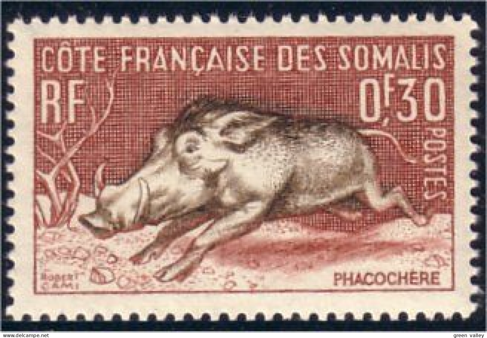 375 Cote Des Somalis Cochon Pig Warthog Phacochere MH * Neuf (f3-CDS-15c) - Selvaggina