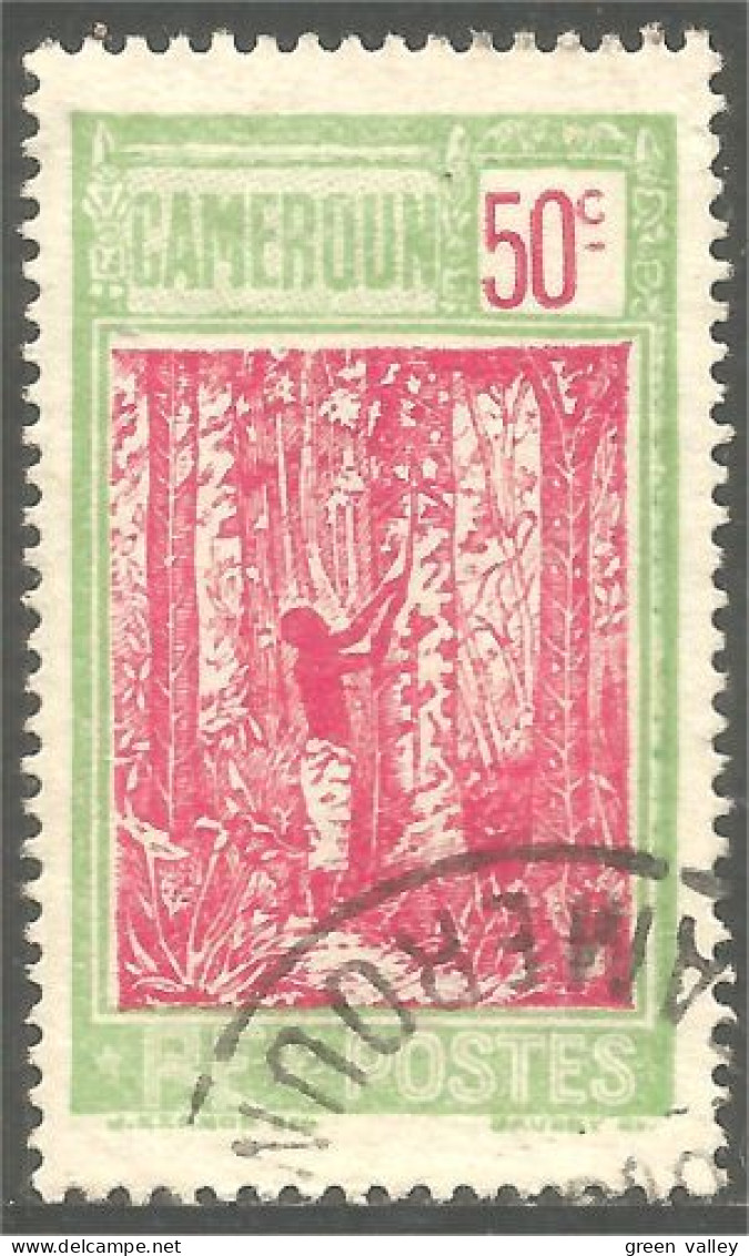 372 AEF Cameroun Arbre Caoutchouc Hévéa Rubber Tree (f3-AEF-340c) - Used Stamps