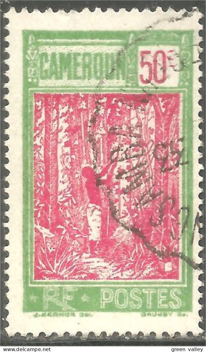 372 AEF Cameroun Arbre Caoutchouc Hévéa Rubber Tree (f3-AEF-340a) - Used Stamps