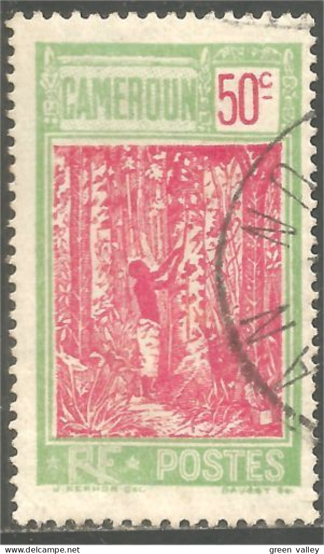 372 AEF Cameroun Arbre Caoutchouc Hévéa Rubber Tree (f3-AEF-340b) - Used Stamps