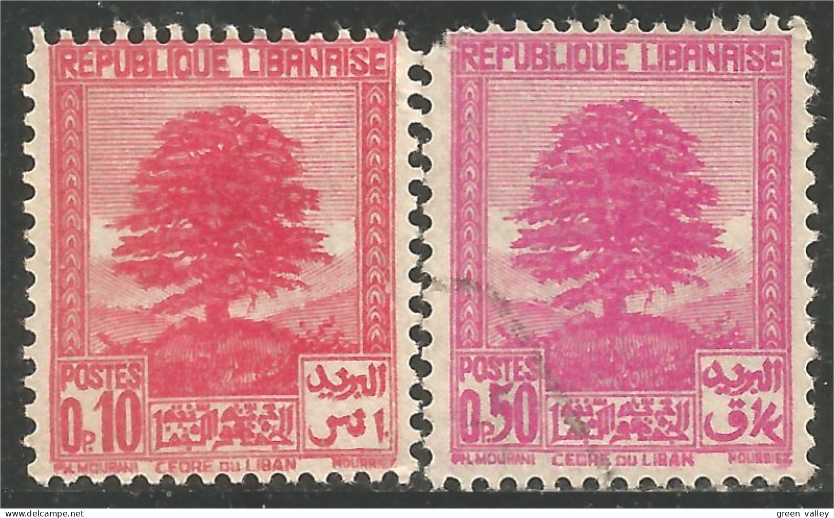 371 Grand Liban 1937 Cèdre Cedar (f3-ALA-59) - Usati