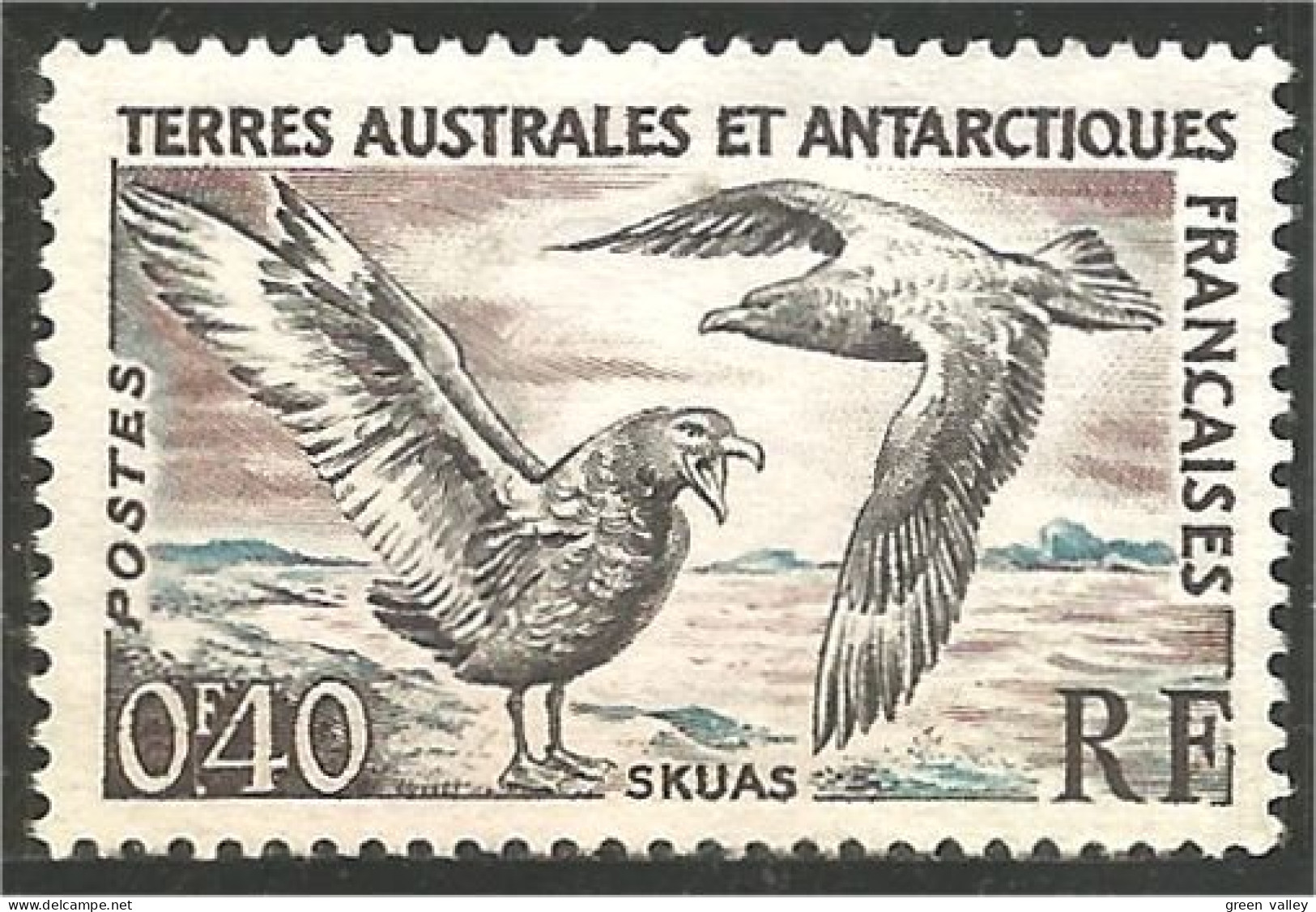 388 TAAF FSAT Skuas Mouette Gull Mowe Sans Gomme (f3-TAF-148c) - Unused Stamps