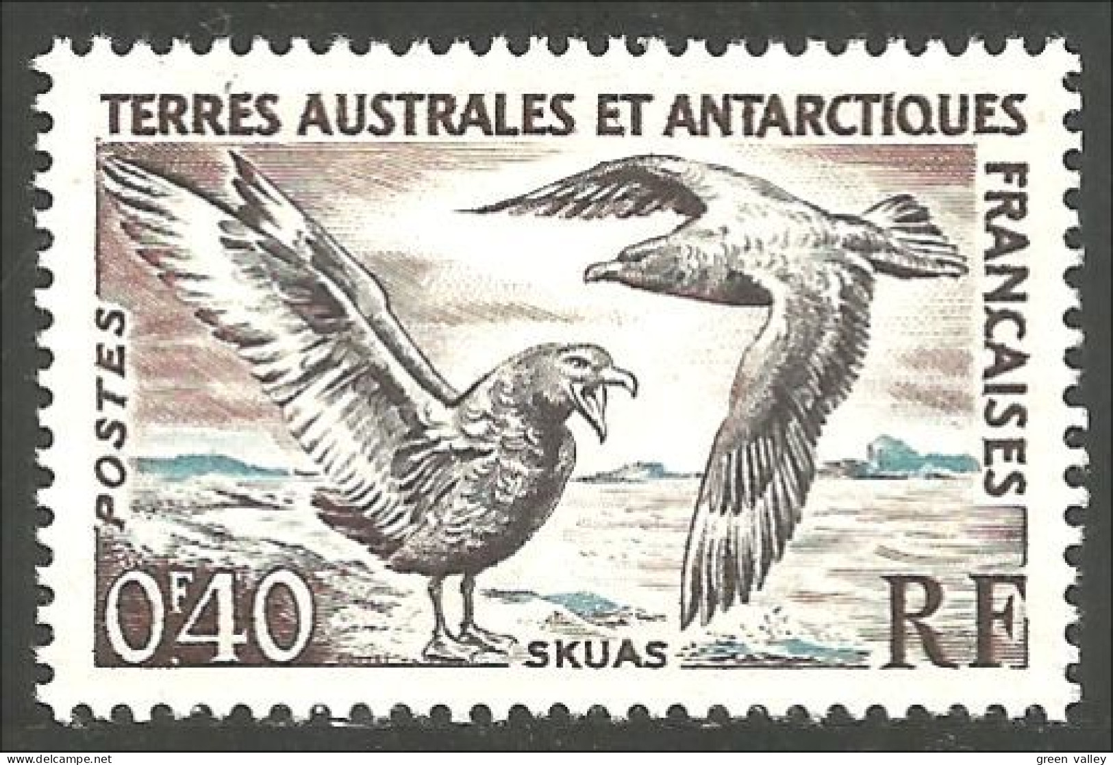 388 TAAF FSAT Skuas Mouette Gull Mowe MNH ** Neuf (f3-TAF-125) - Gabbiani