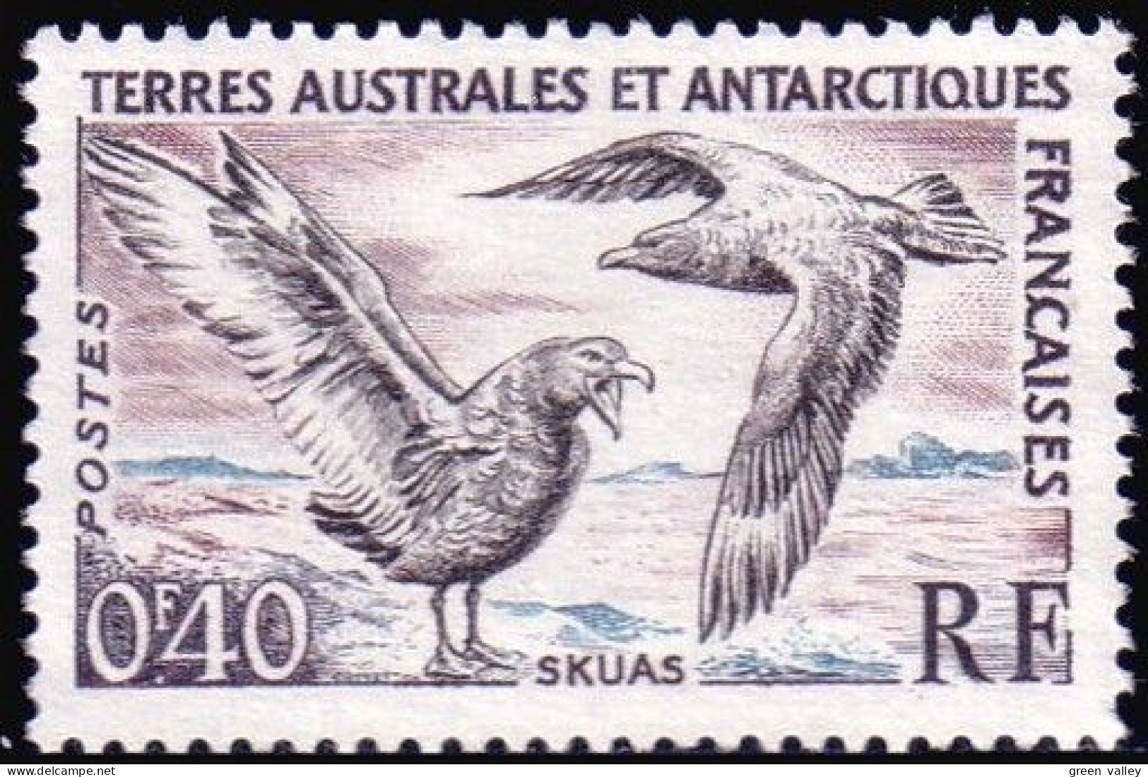 388 TAAF FSAT Skuas Sans Gomme No Gum (f3-TAF-112b) - Fauna Antartica