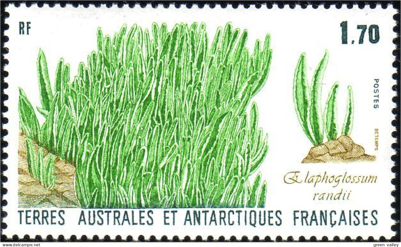 388 TAAF FSAT Herbe Herb Algae Seeweed MNH ** Neuf (f3-TAF-48b) - Autres & Non Classés