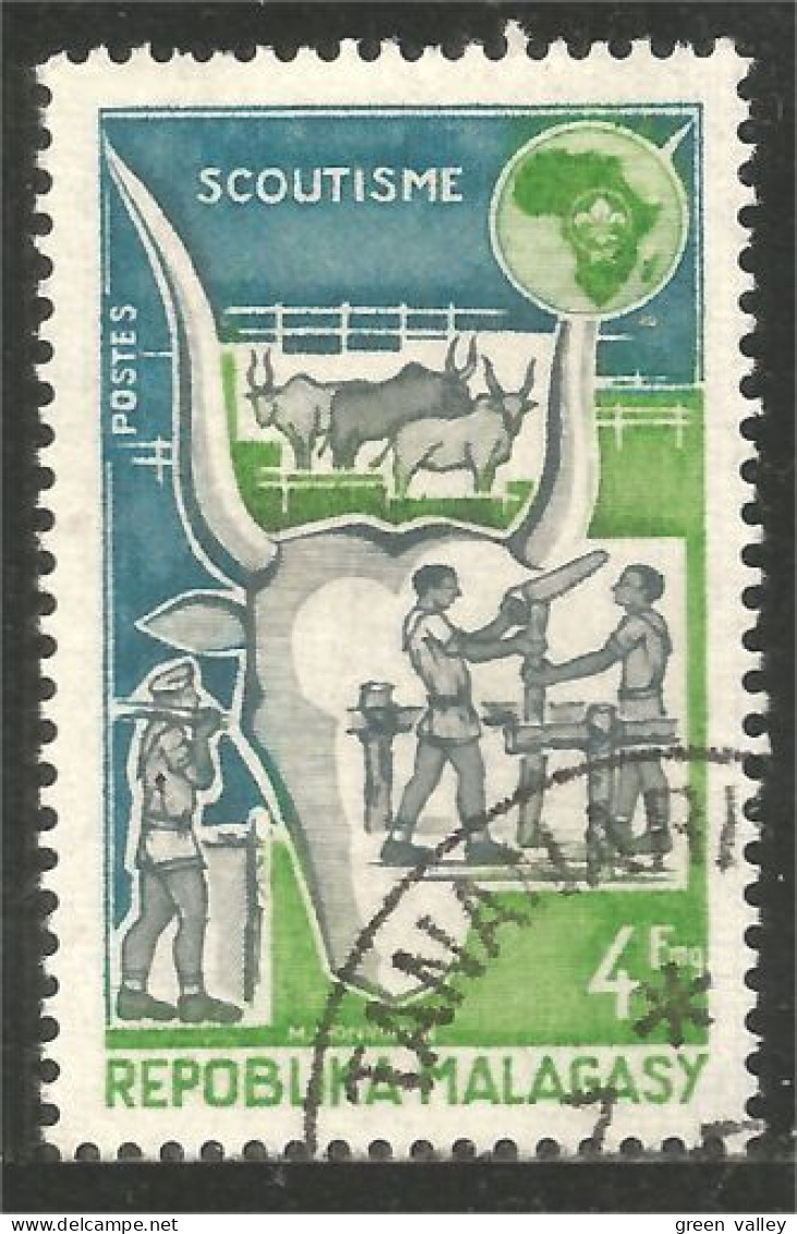 382 Madagascar Agriculture Vache Boeuf Beef Cow Kuh Vaca Scout Scoutisme (f3-MDG-45) - Agricoltura