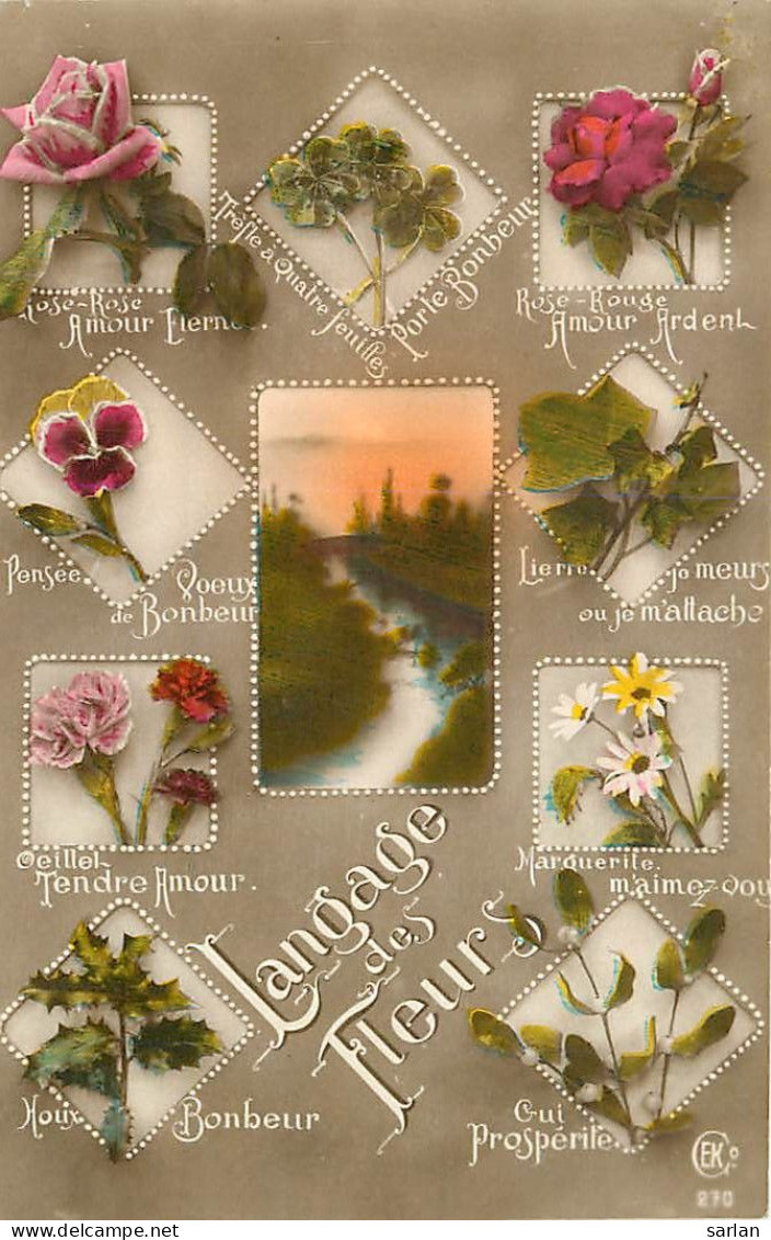 LANGAGE Des Timbres / * 516 45 - Stamps (pictures)
