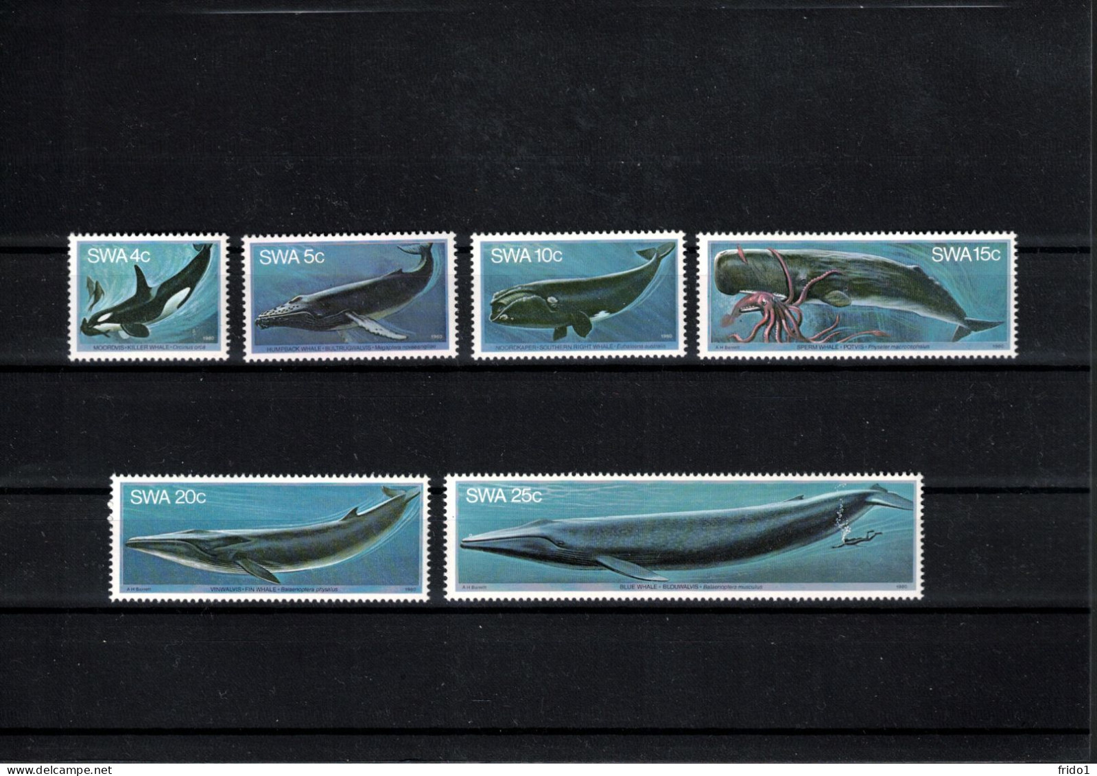 South West Africa 1980 Whales Set Postfrisch / MNH - Balene