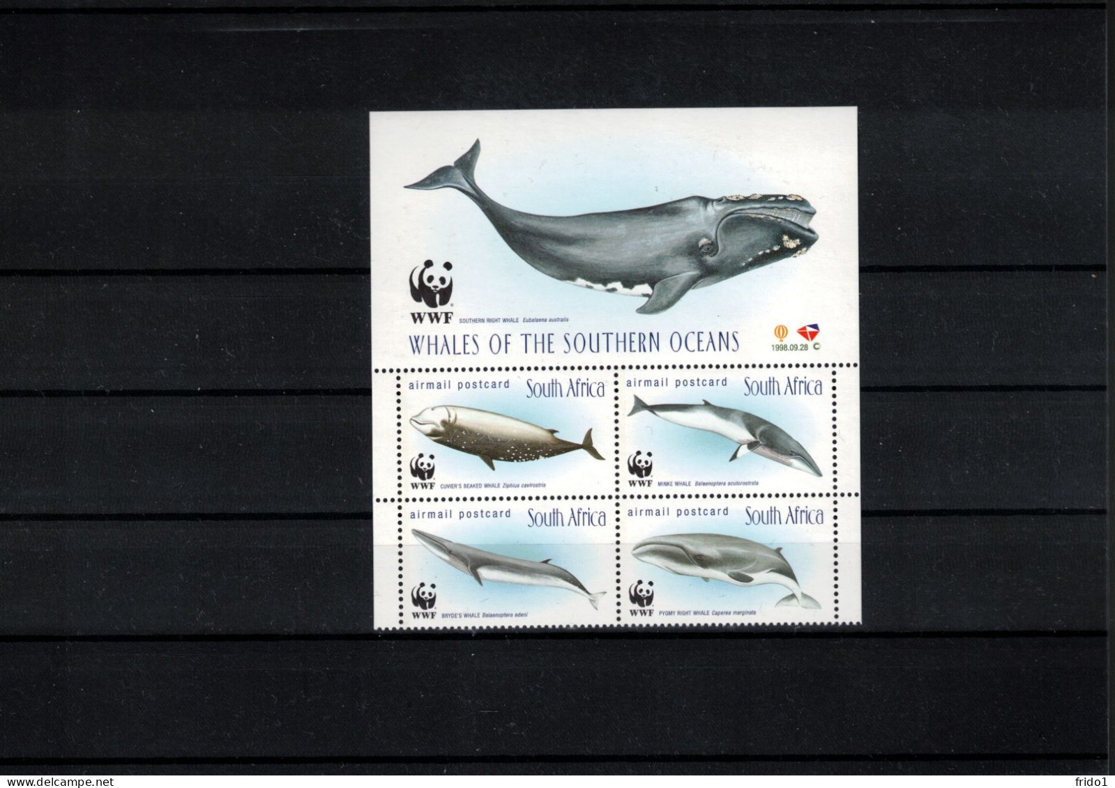 South Africa 1998 Whales WWF Postfrisch / MNH - Wale