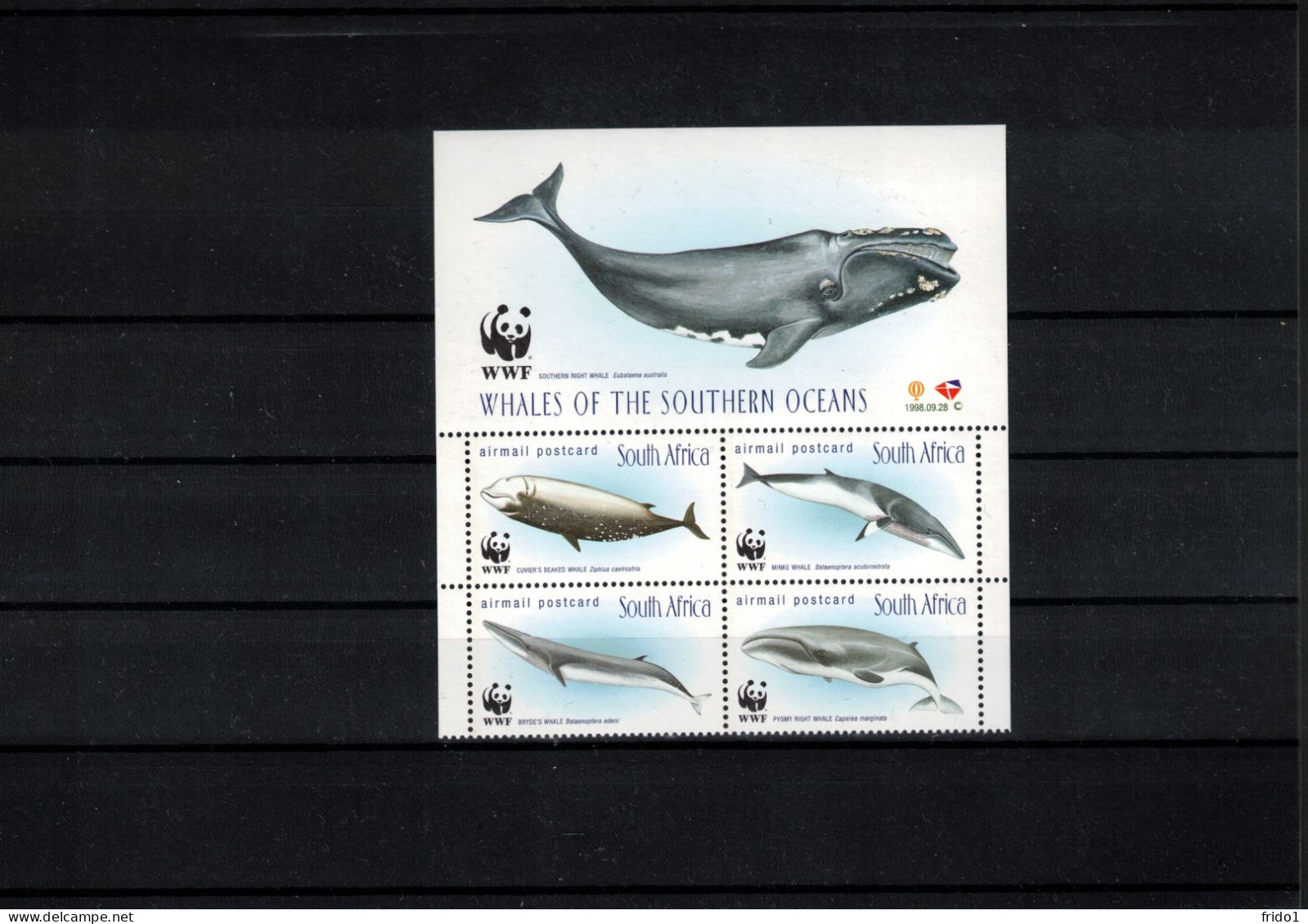 South Africa 1998 Whales WWF Postfrisch / MNH - Baleines