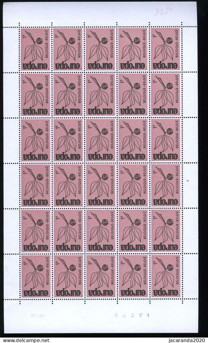 België 1342 - Europa 1965 - Volledig Vel - Feuille Complète - MNH - Plnr 3 - 1961-1970