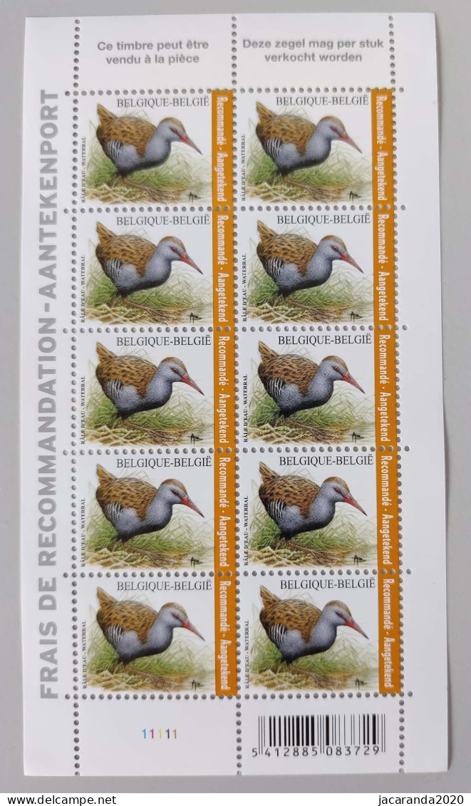 België 4671 - Vogels - Waterral - Râle D'eau - André Buzin - Plnr 1 - Neufs