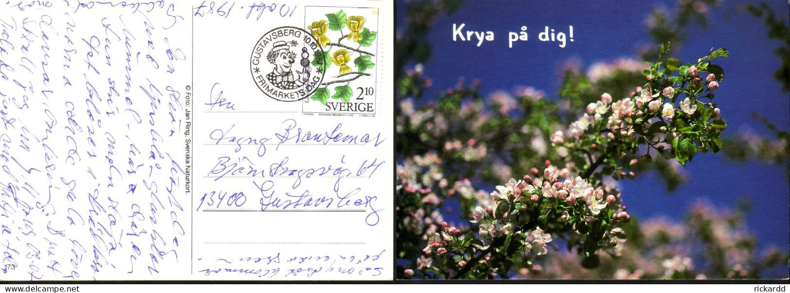 Sweden - Botaniska Trädgårdar F#1473 GUSTAVSBERG 10/10 1987 FD On Postcard (Stamp Day) - FDC