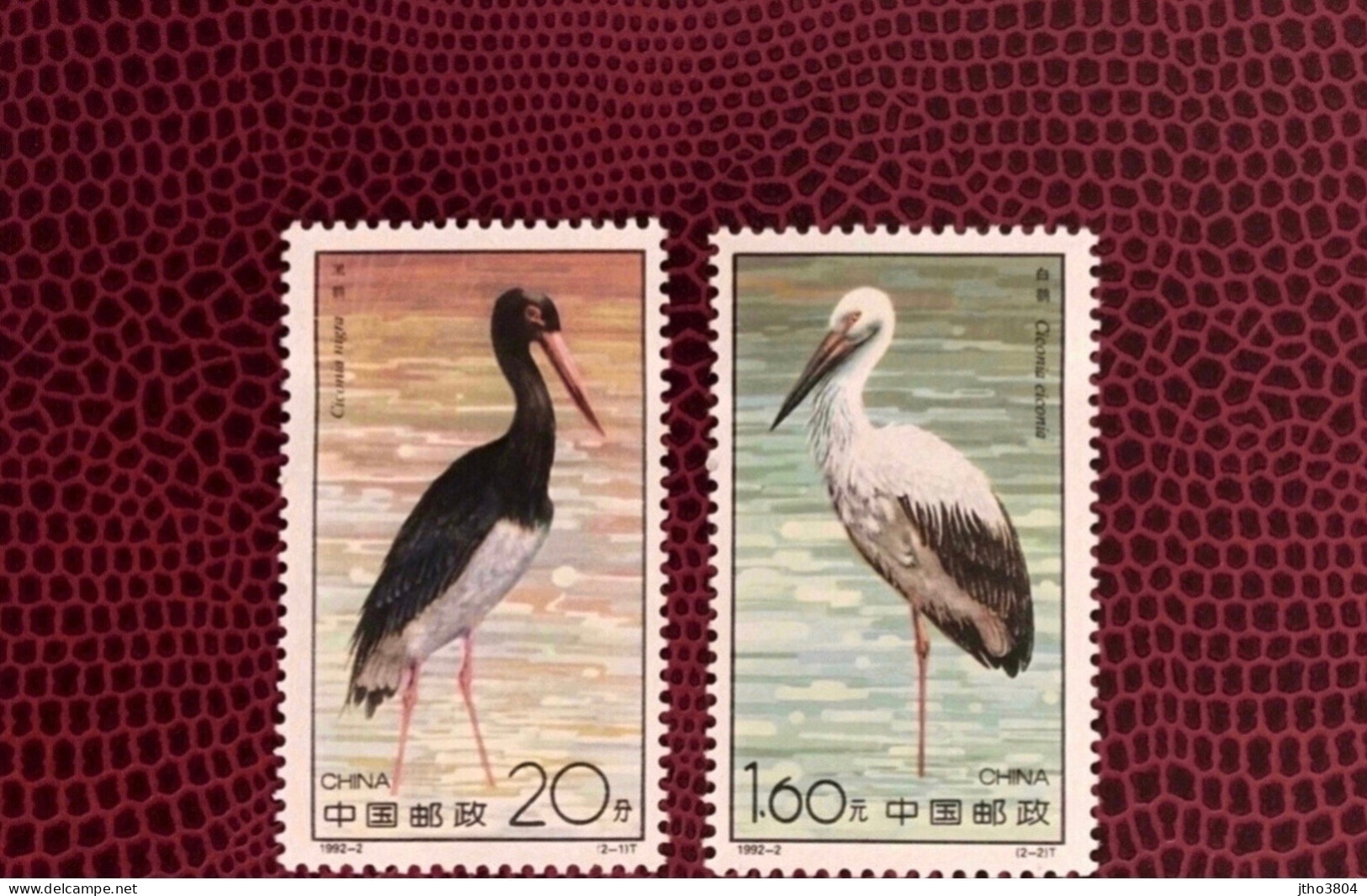 CHINE 1992 2v Neuf ** MNH Mi 2414 2415 Ucello Oiseau Bird Pájaro CHINA - Ooievaars