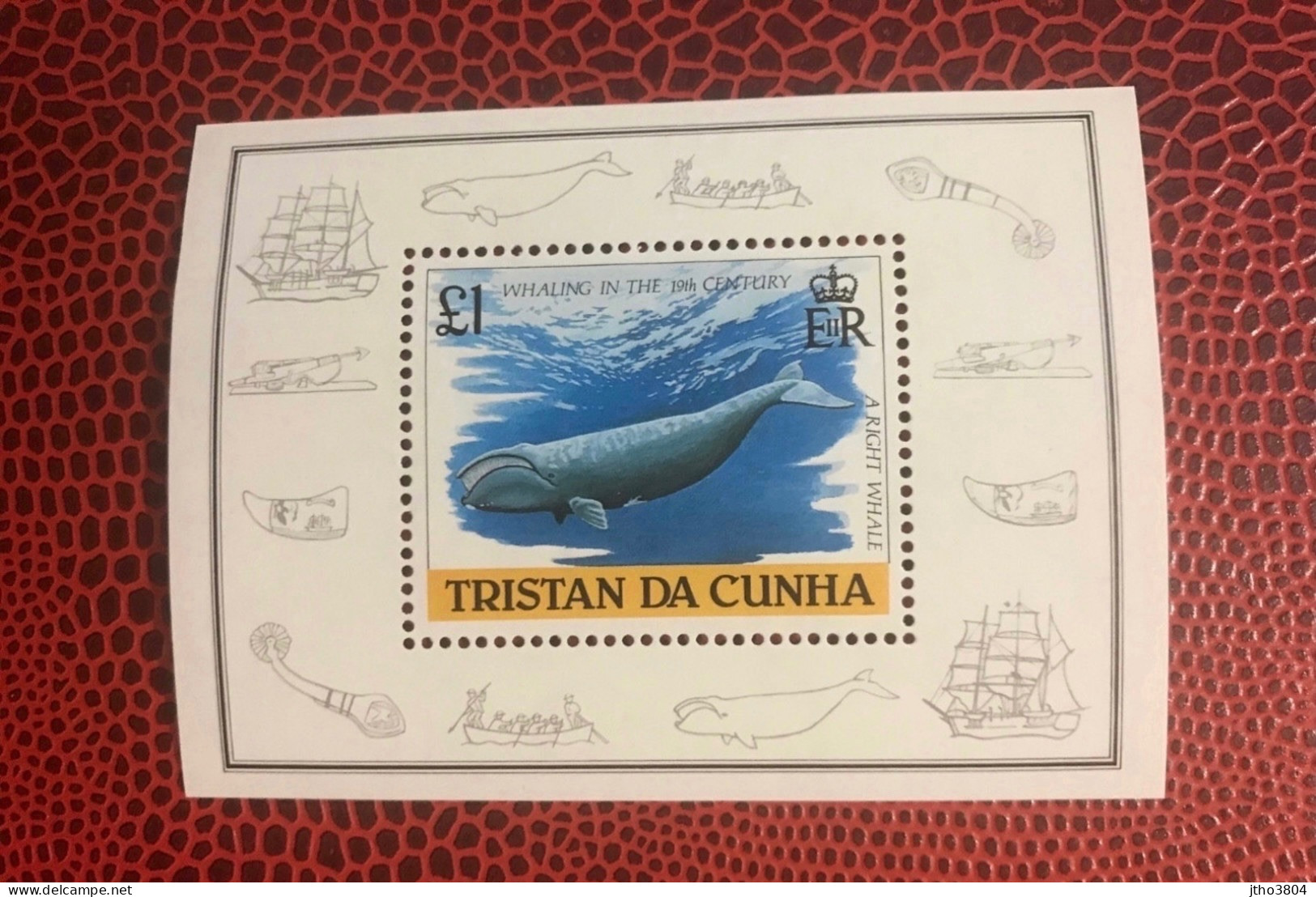 TRISTAN DA CUNHA HELENA 1988 Bloc 1v Neuf MNH (légère Trace Vers  YT BF 21 Marine Mammals Whale Baleine HELENE - Ballenas