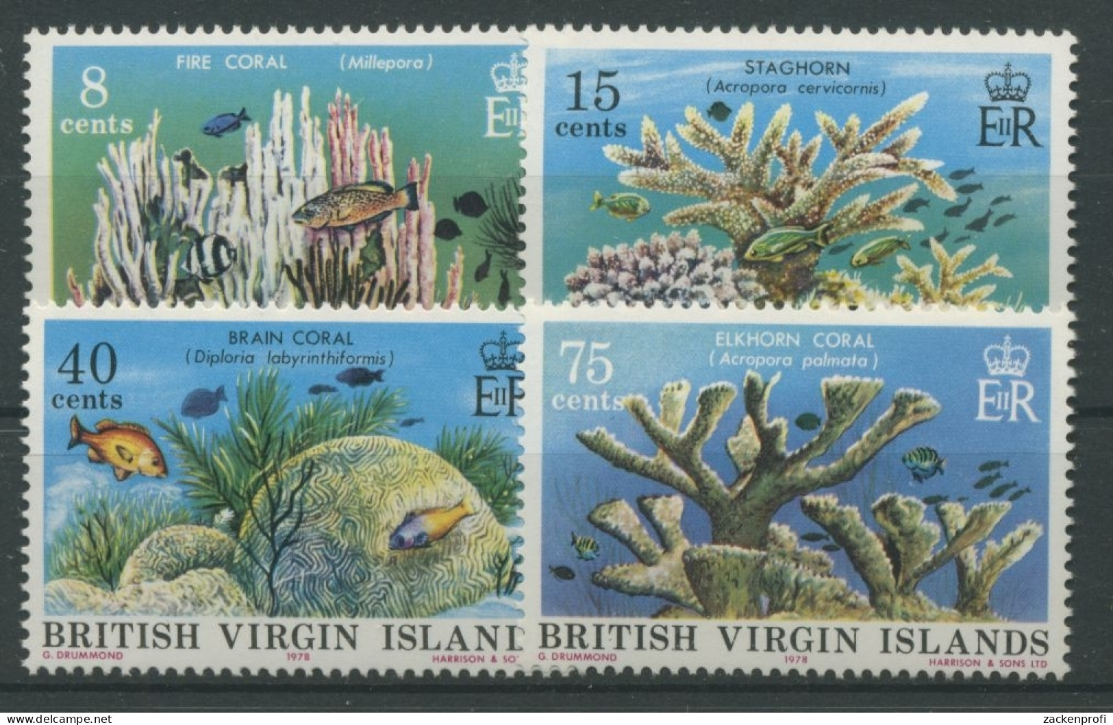 Britische Jungferninseln 1978 Korallen 333/36 Postfrisch - Iles Vièrges Britanniques