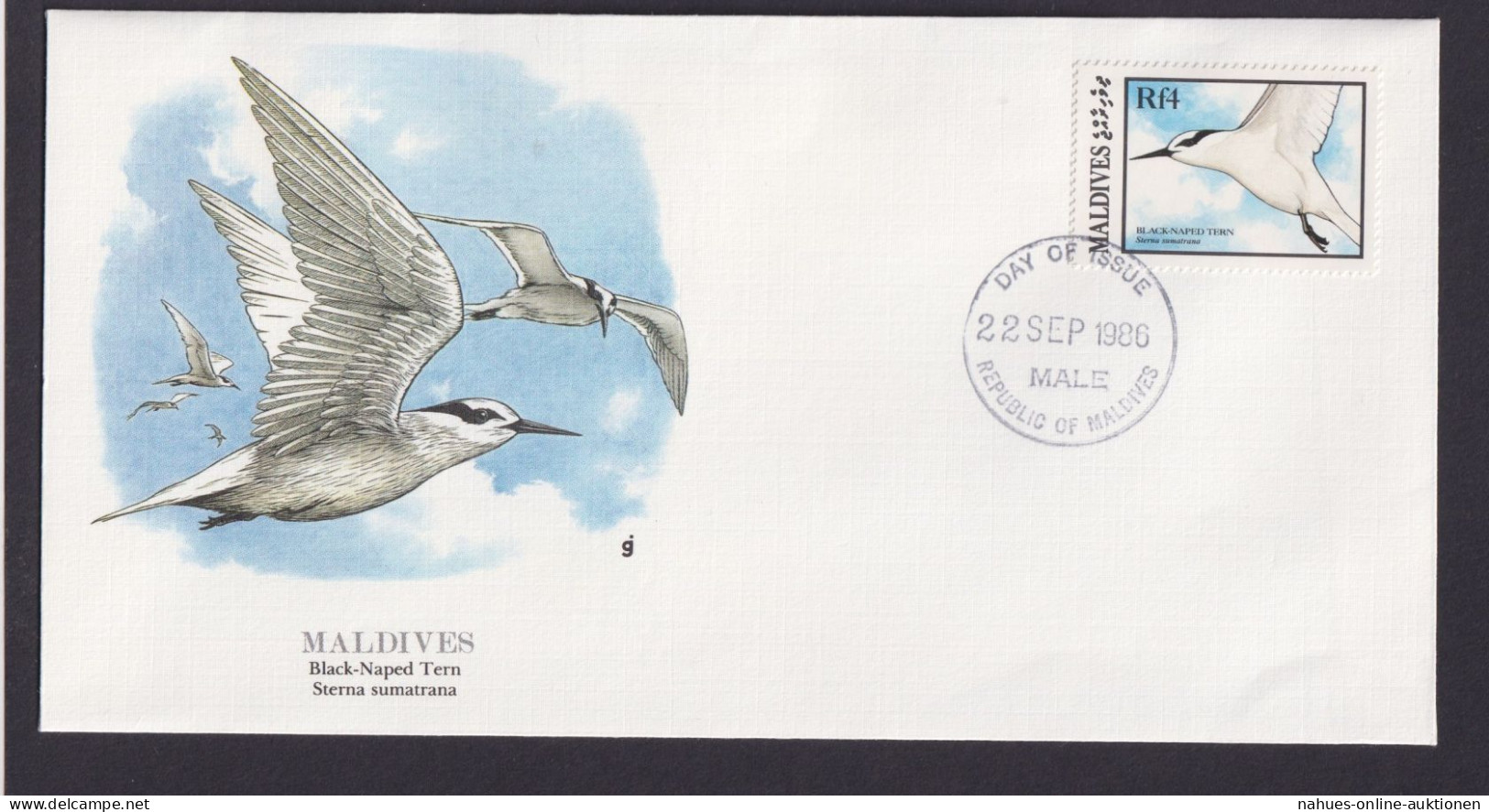 Malediven Südasien Fauna Vögel Seeschwalben Schöner Künstler Brief - Maldives (1965-...)
