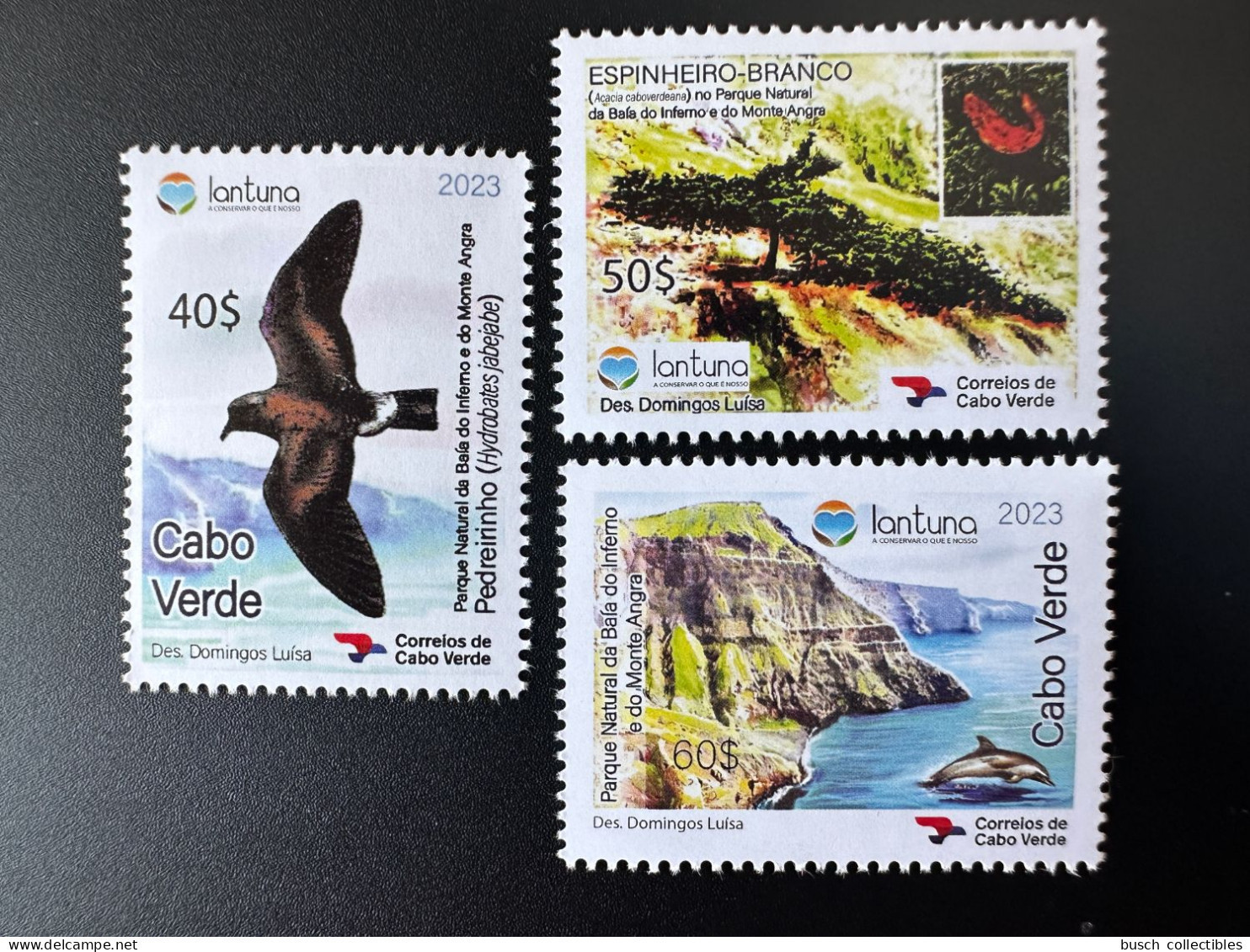 Cape Kap Cabo Verde 2023 Mi. ? Parque Natural Baia Inferno Monte Angra Bird Oiseau Vogel Dauphin Dolphin Delphin Fauna - Cape Verde