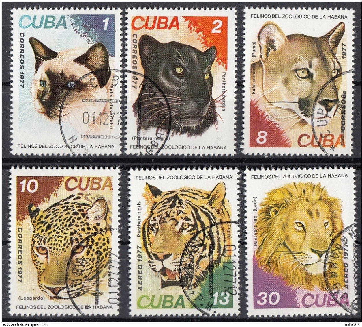 CUBA - 1977 Big Cats ; Lion ; Tiger;leopard;puma  Stamp Set Used - Félins