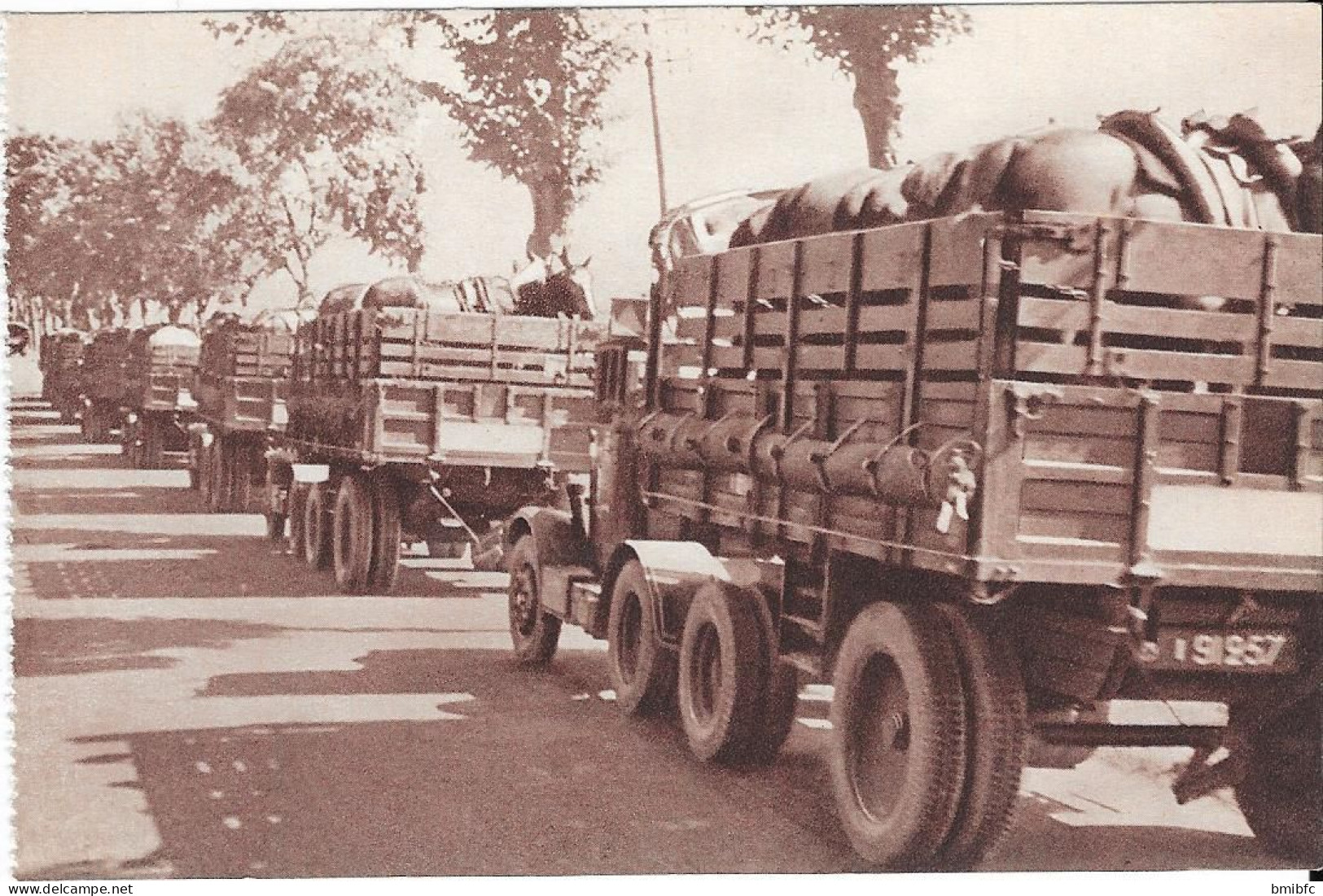 TRAIN DES ÉQUIPAGES MILITAIRES - TRANSPORT DE CHEVAUX - Manovre