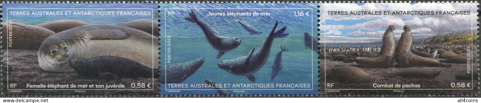 TAAF 2023. Southern Elephant Seal (Mirounga Leonina) (MNH OG) Block Of 3 Stamps - Nuovi