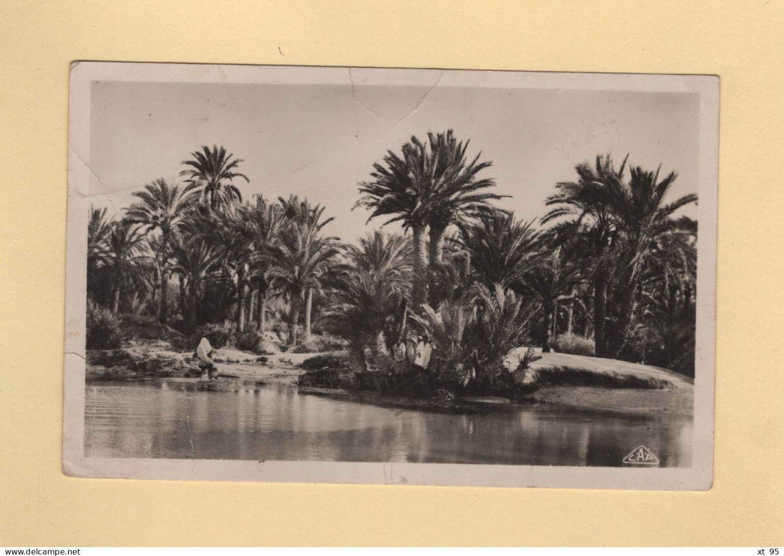 Tunisie - Carte Postale Par Avion Destination Yougoslavie - 1948 - Storia Postale