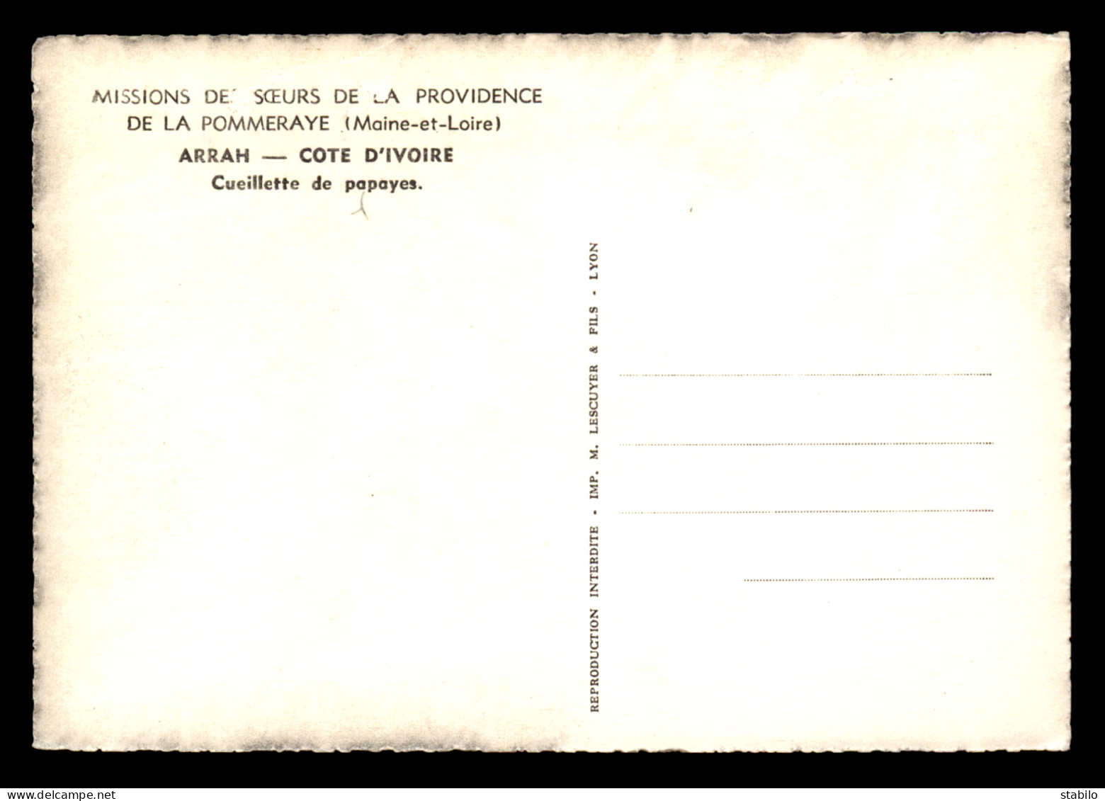 MISSIONS - SOEURS DE LA PROVIDENCE DE LA POMMERAYE (MAINE-ET-LOIRE) - COTE D'IVOIRE - ARRAH - CUEILLETTE DE PAPAYES - Missions