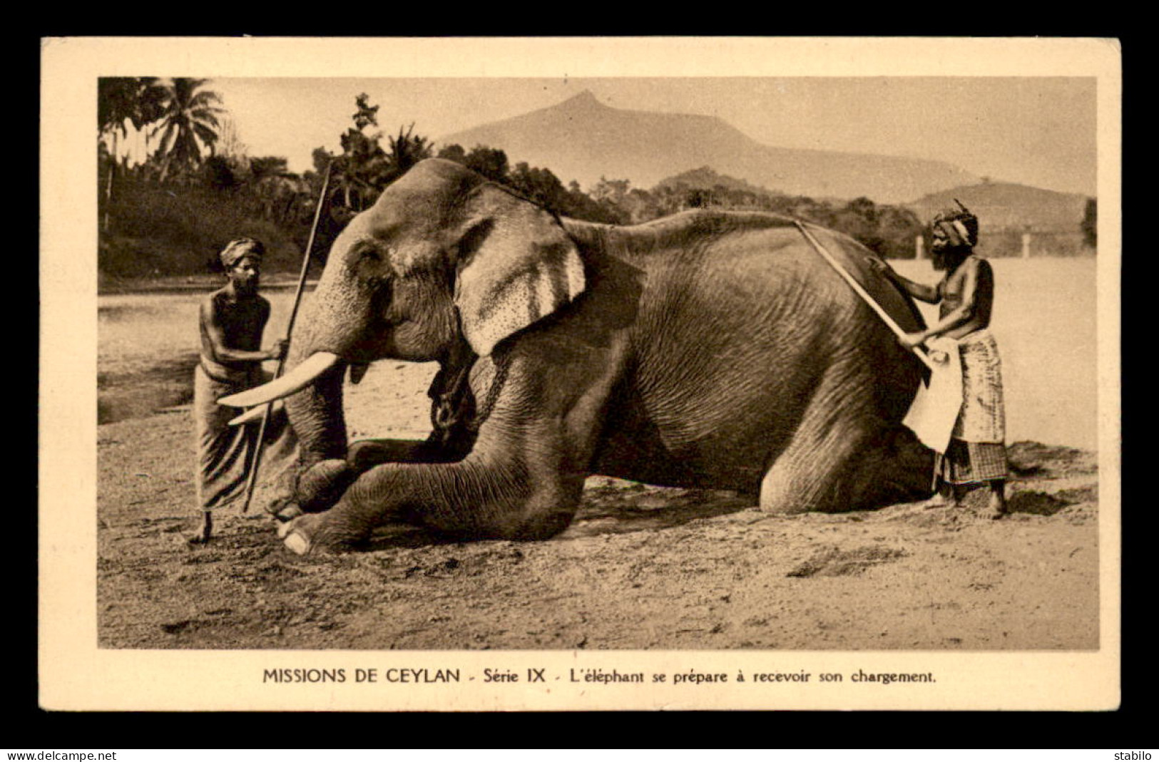 MISSIONS - CEYLAN - OBLATS DE MARIE IMMACULEE - ELEPHANT RECEVANT SON CHARGEMENT - Missioni