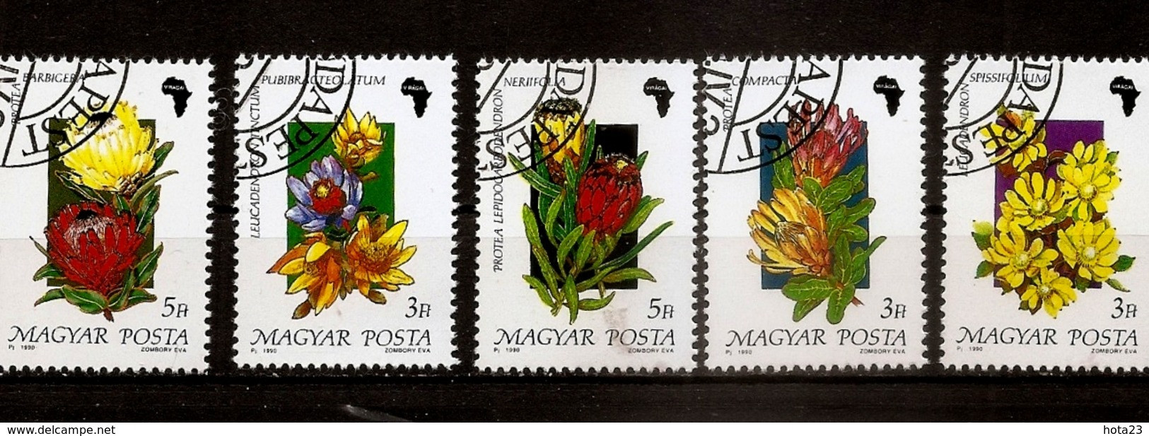 HUNGARY - 1990. African Flowers - Kaktus  Stamps Set  USED - Oblitérés