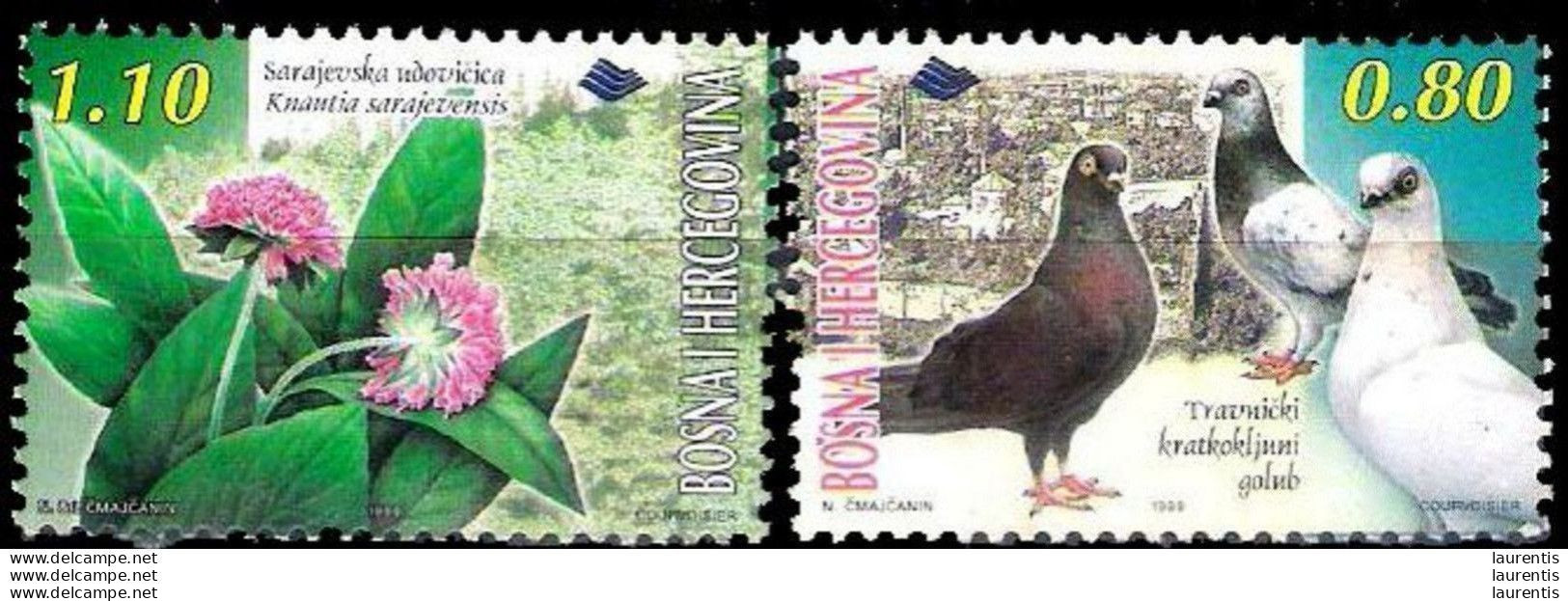 14662  Pigeons - BIrds - Oiseaux - Bosnia - 1,50 - Columbiformes