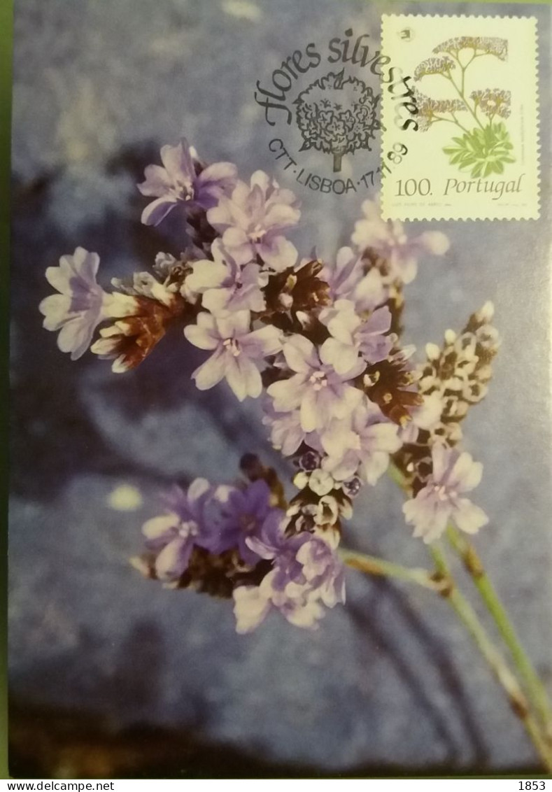 POSTAL MÁXIMO - FLORES SILVESTRES - Maximumkaarten