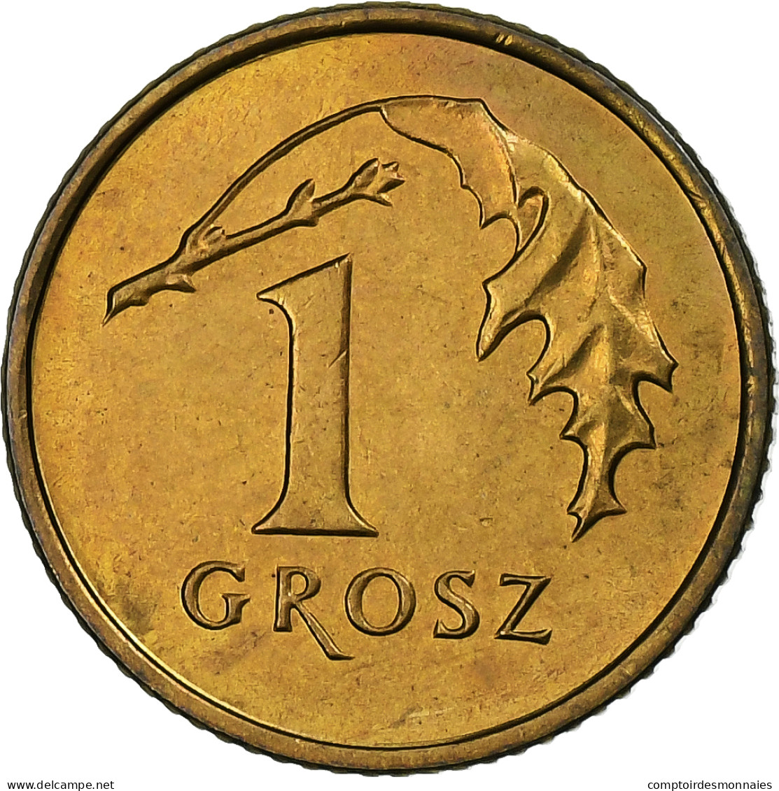 Pologne, Grosz, 1992, Warsaw, Laiton, SUP, KM:276 - Polonia