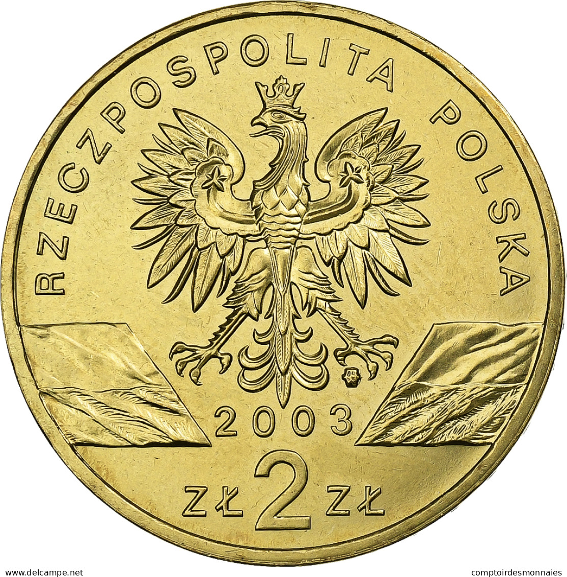 Pologne, 2 Zlote, 2003, Warsaw, Laiton, SPL, KM:445 - Pologne