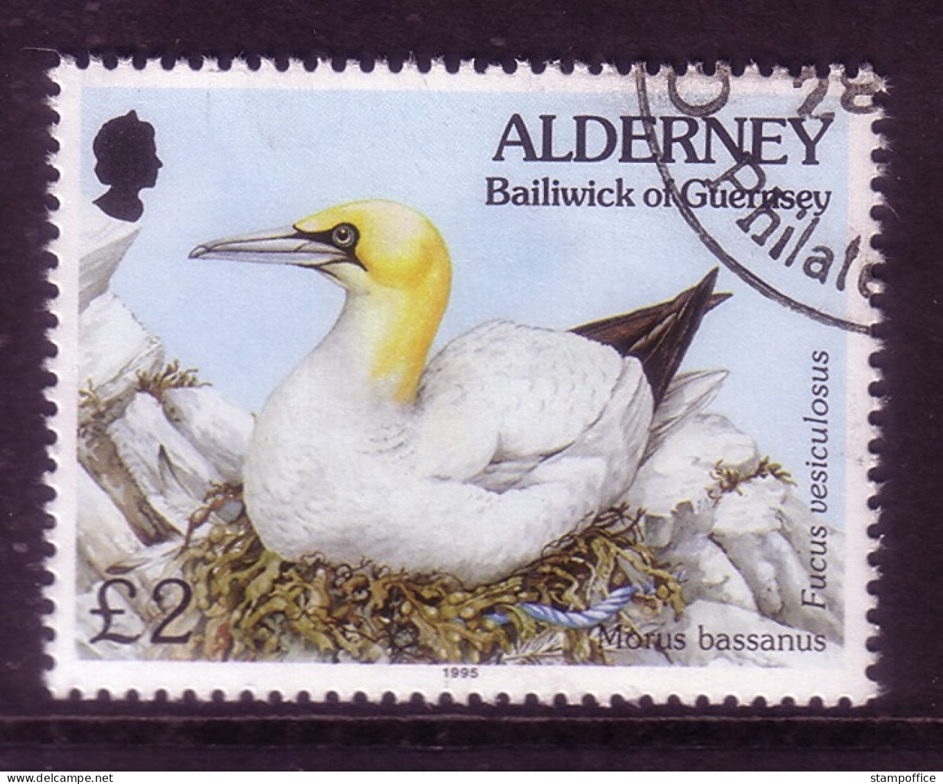 ALDERNEY MI-NR. 82 GESTEMPELT(USED) FAUNA + FLORA BASSTÖLPEL 1995 - Alderney