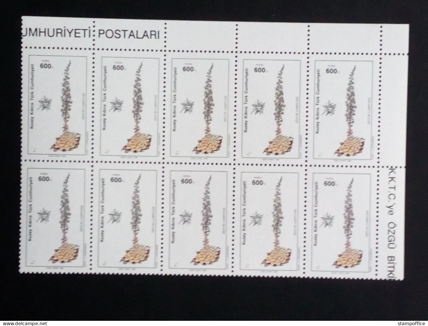 TÜRKISCH ZYPERN MI-NR. 290-295 POSTFRISCH(MINT) 10er BLOCK EINHEIMISCHE PFLANZEN 1990 GÄNSEKRESSE FETTHENNE - Unused Stamps