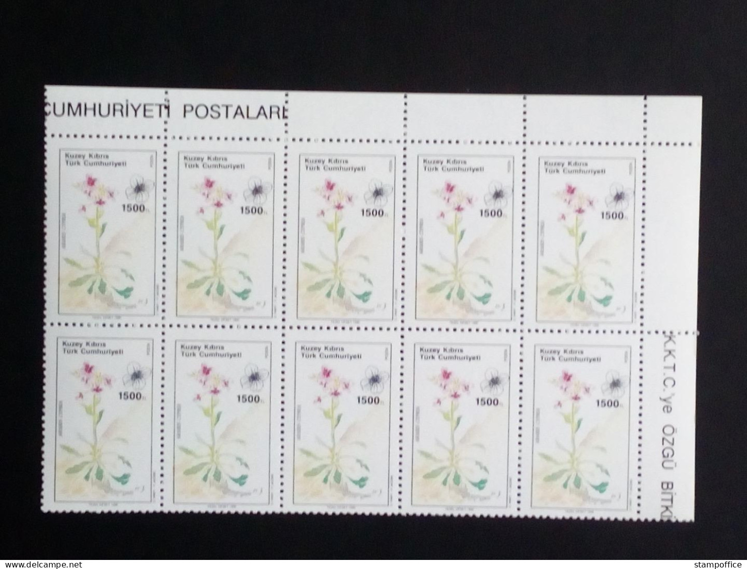 TÜRKISCH ZYPERN MI-NR. 290-295 POSTFRISCH(MINT) 10er BLOCK EINHEIMISCHE PFLANZEN 1990 GÄNSEKRESSE FETTHENNE - Unused Stamps