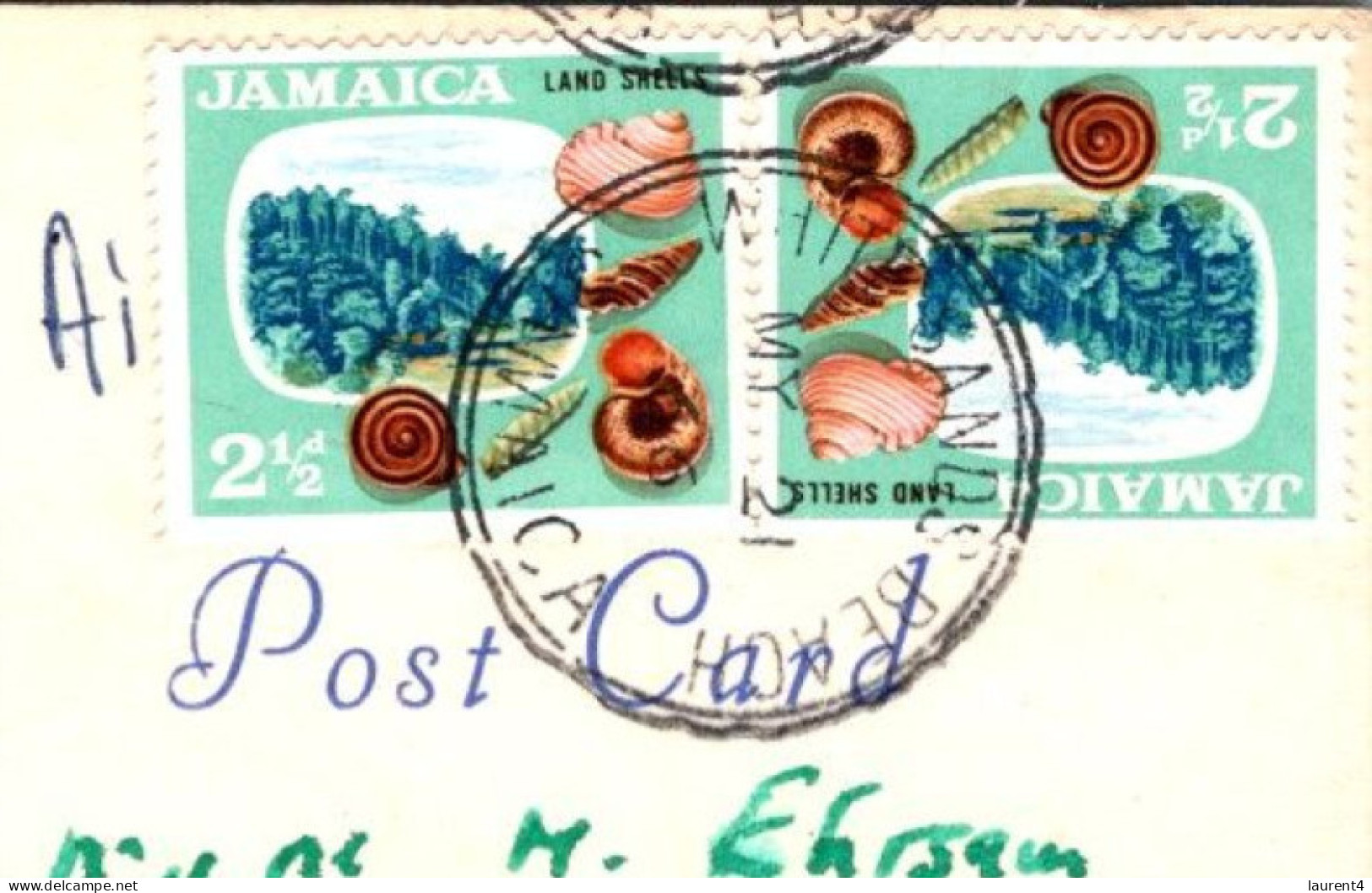 7-4-2024 (1 Z 16) Jamaica (posted To France 1966) Rose Hill - Montego Bay (with 2 Seashell Stamps) - Jamaica