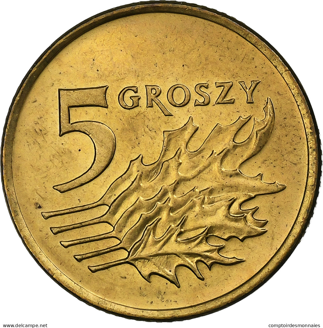 Pologne, 5 Groszy, 1992, Warsaw, Laiton, SPL, KM:278 - Polen