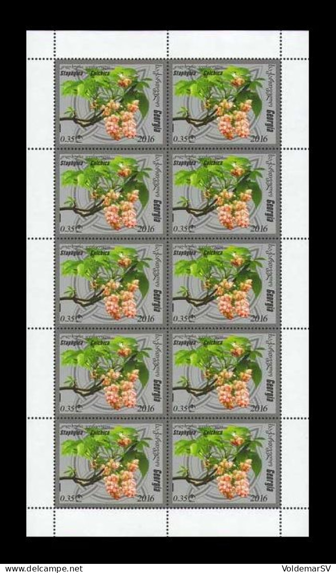 Georgia 2016 Mih. 689 Flora. Caucasian Bladdernut (M/S) MNH ** - Géorgie